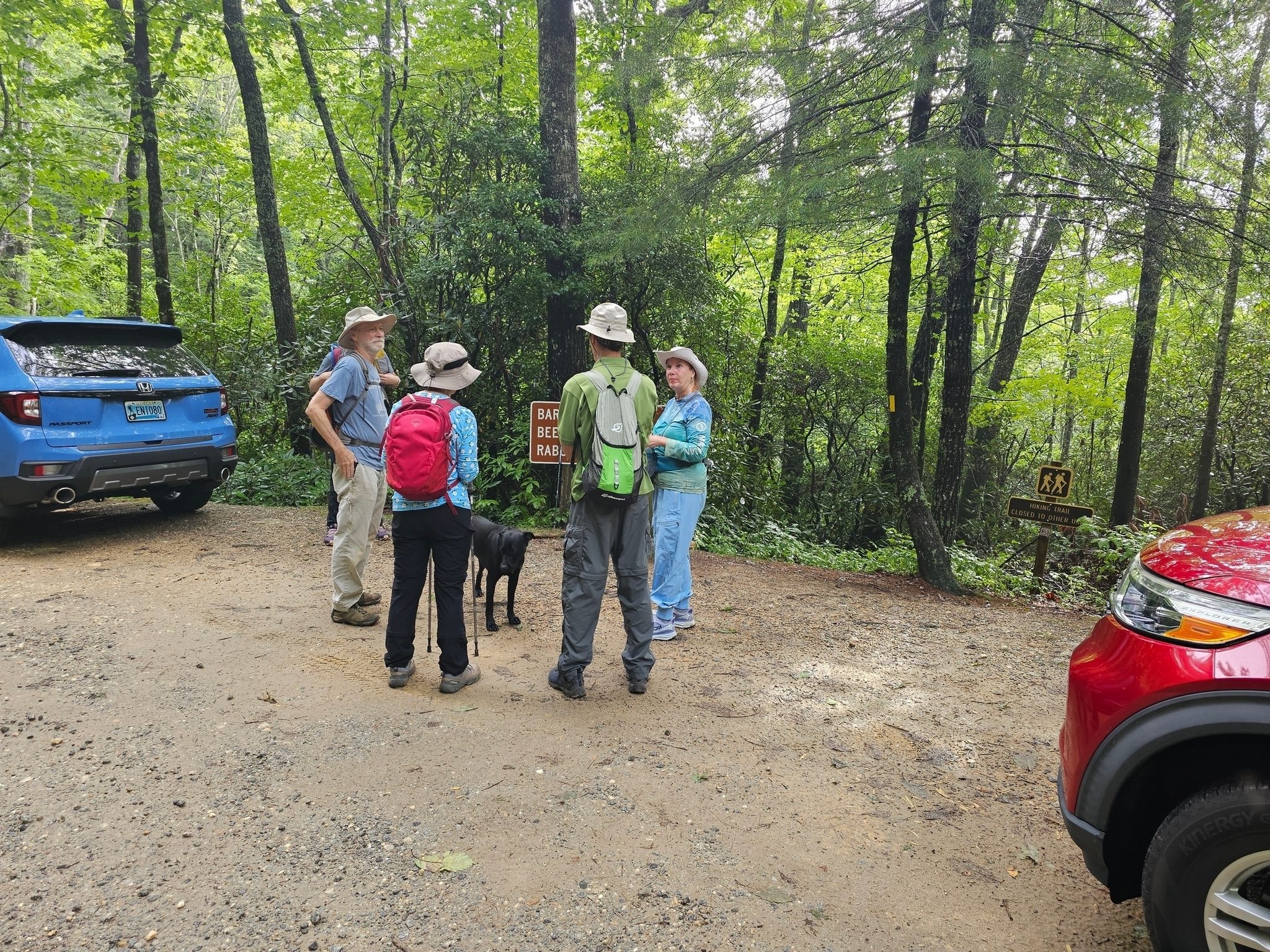 Easy to find trailhead on Hale Ridge Rd with room for 3-4 cars.