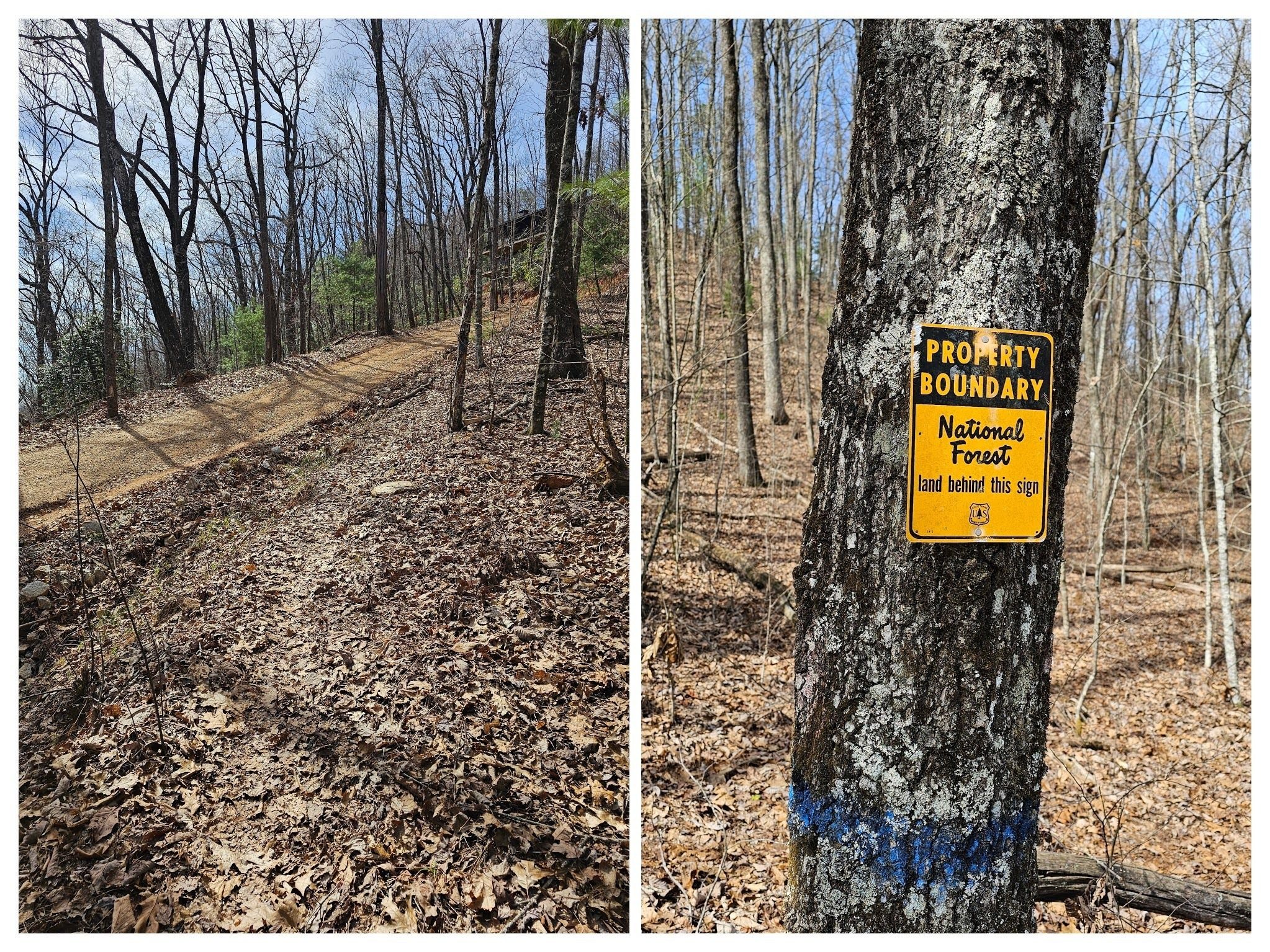 Some of the trail closely borders on private property and road.