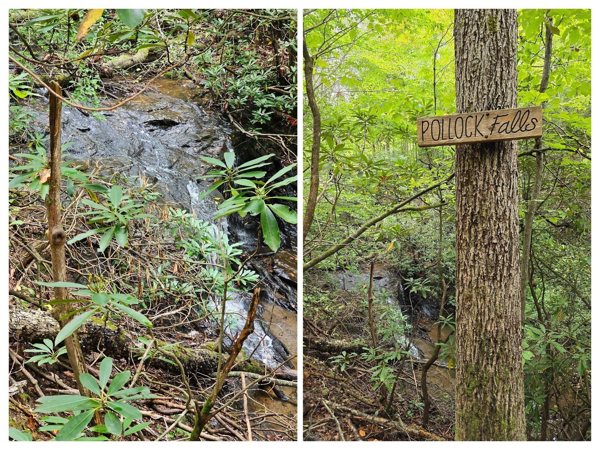 Pollock Falls on Cane Creek as we head back on the Palmetto Trail.