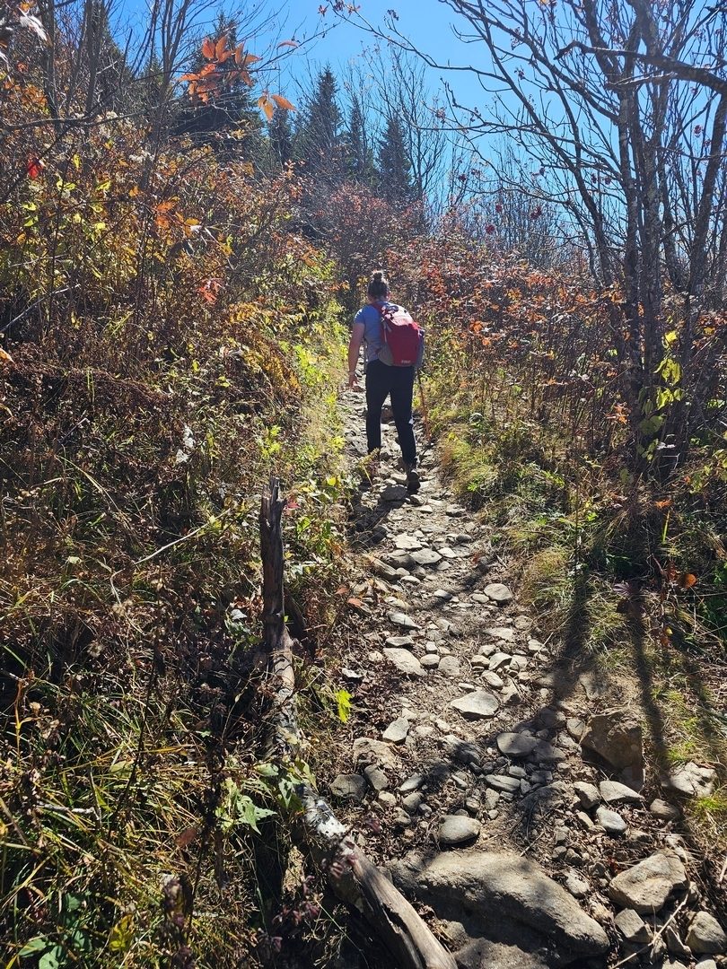 As we head up Black Balsam, Bobbie is wondering if these rocky trails will ever end . . . not today.