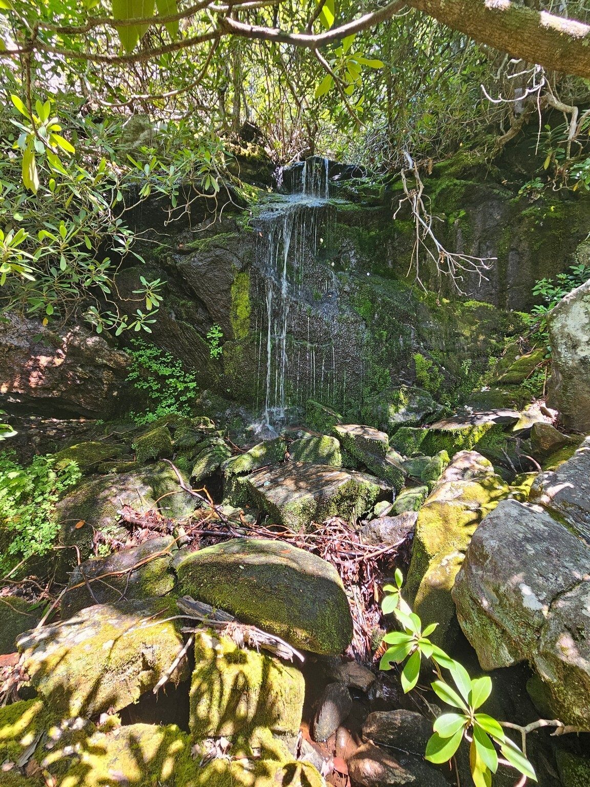 We take a short side trail to the south to see the barely flowing, unnamed falls.