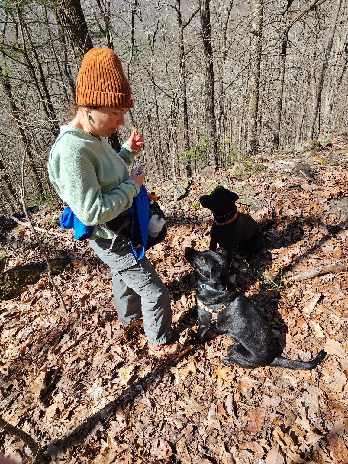 That's one way to get these pooches attention.