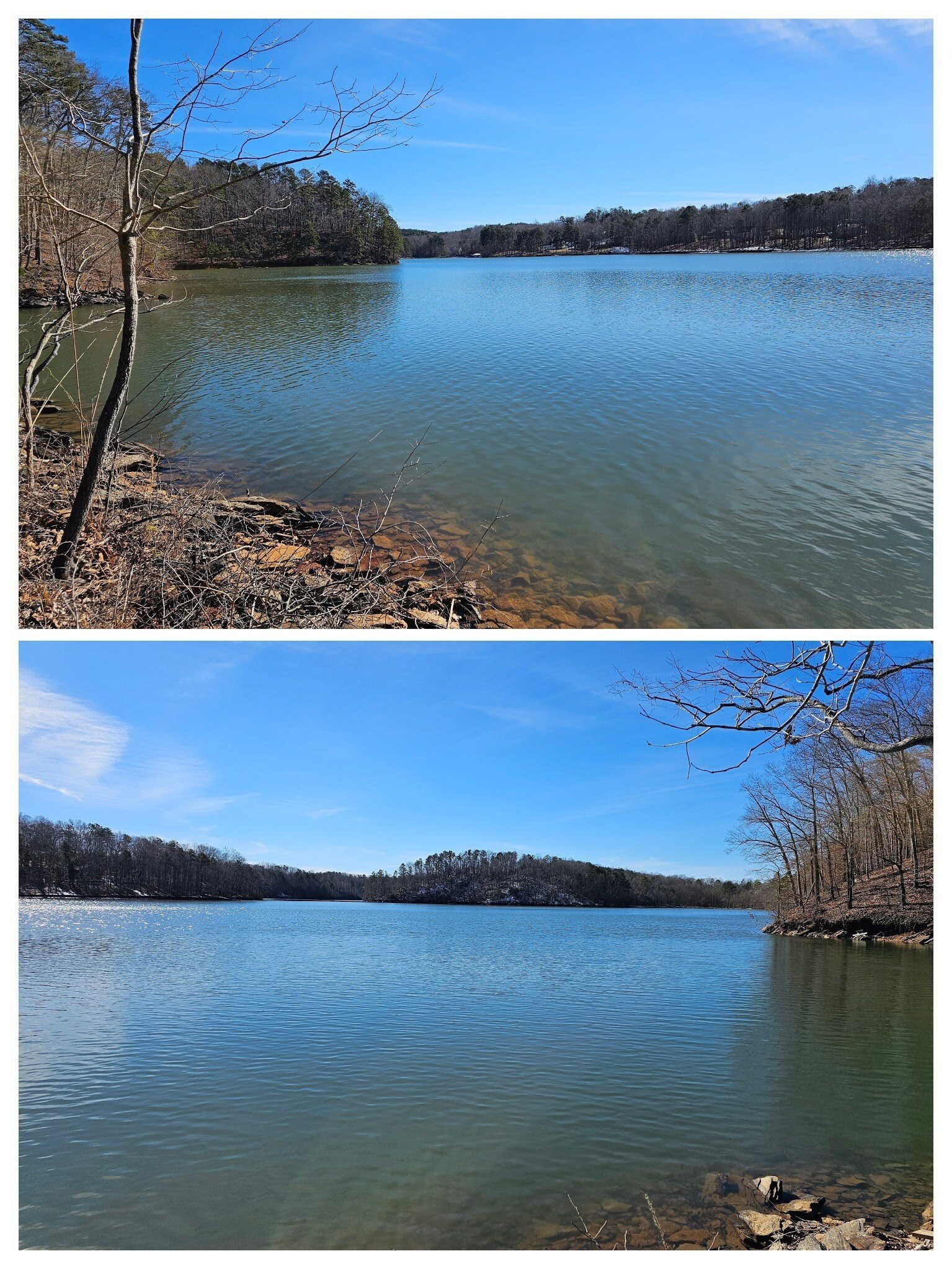 Views up and down Lake Lanier from our lunch spot.