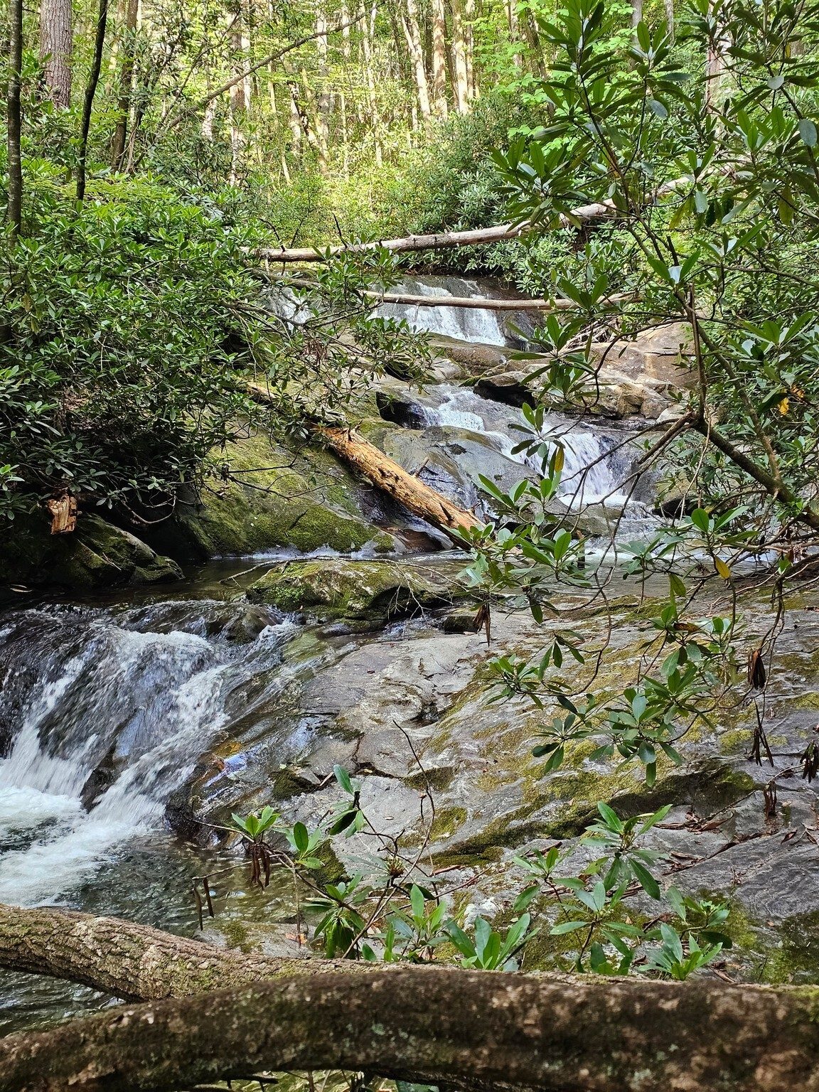 Just up the trail was the first cascade, a waterfall to some.