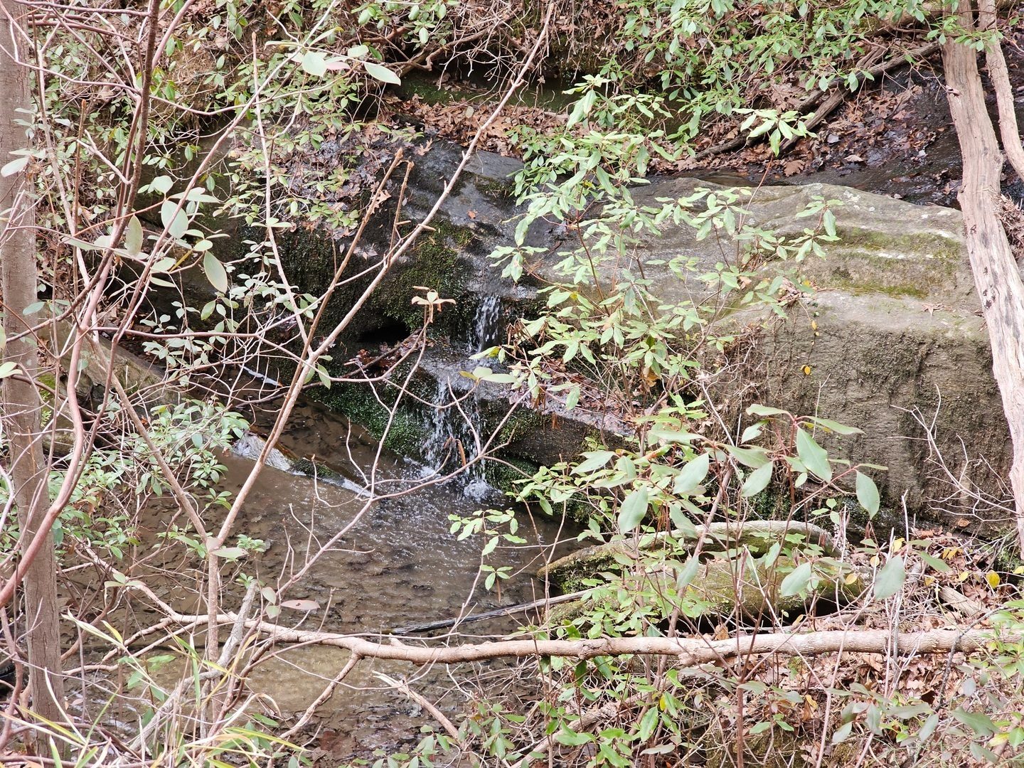 Can I name this trickle, "Mike's Waterfall?"