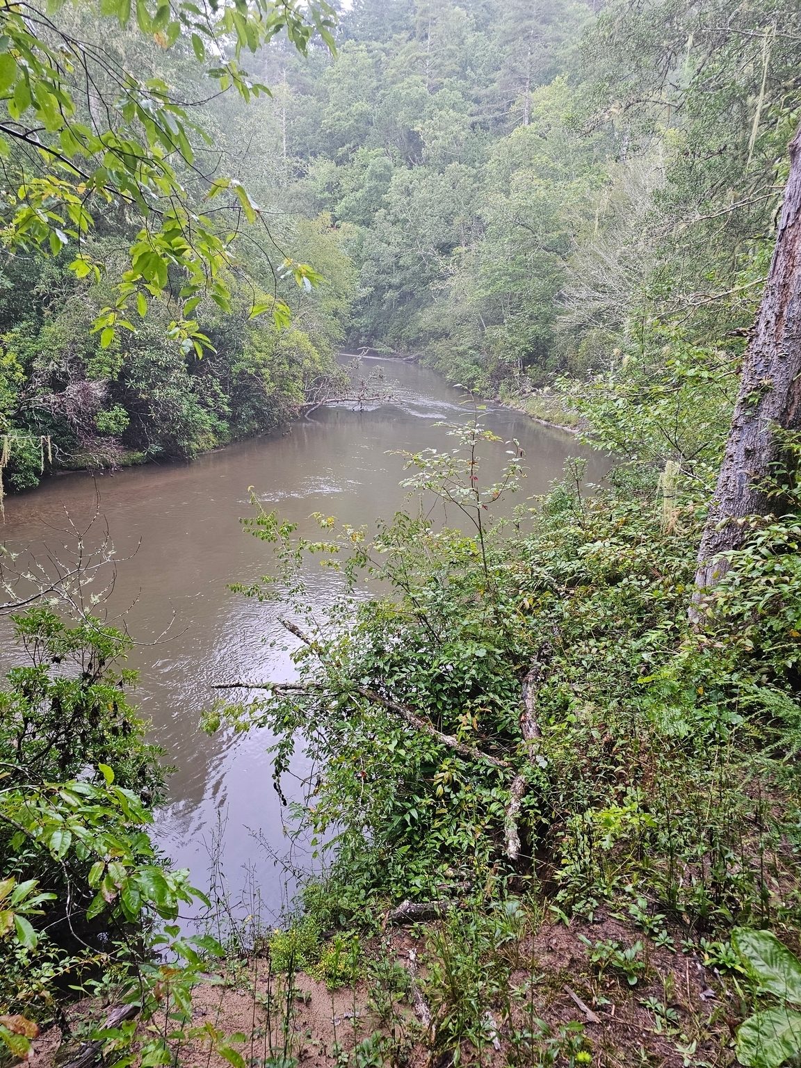 A muddy Warwoman Creek at the start of the hike.