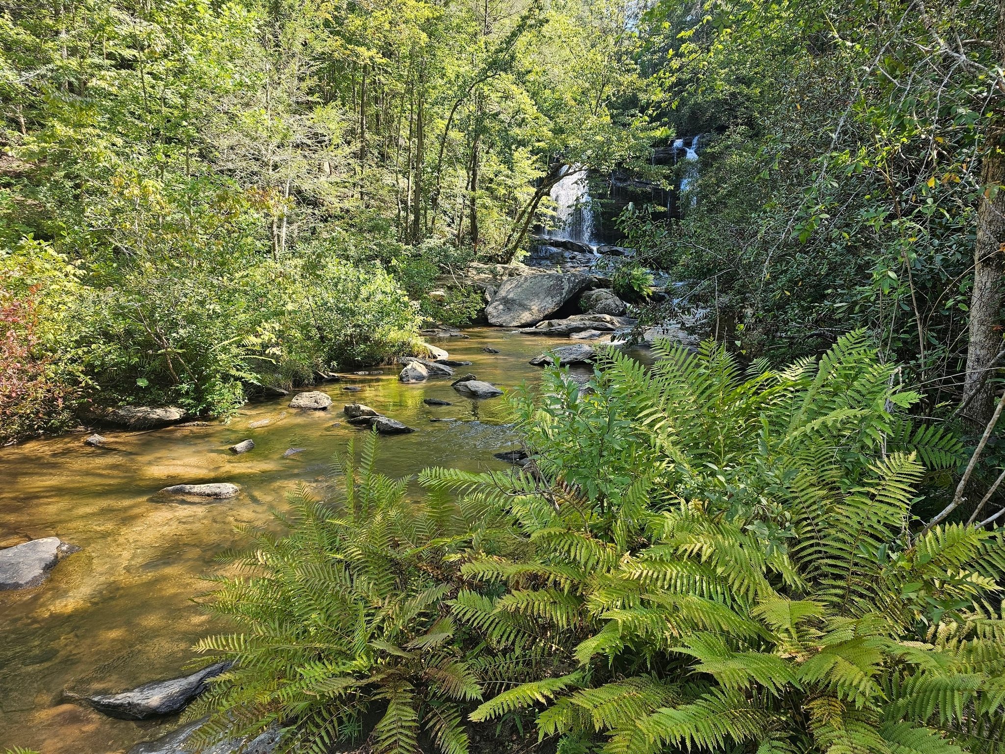 We hiked to Long Creek Falls after another steep descent.  The falls is located slightly upstream from where Long Creek joins the Chattooga River.  ~25-feet, two-tier falls.  Not a big flow today.