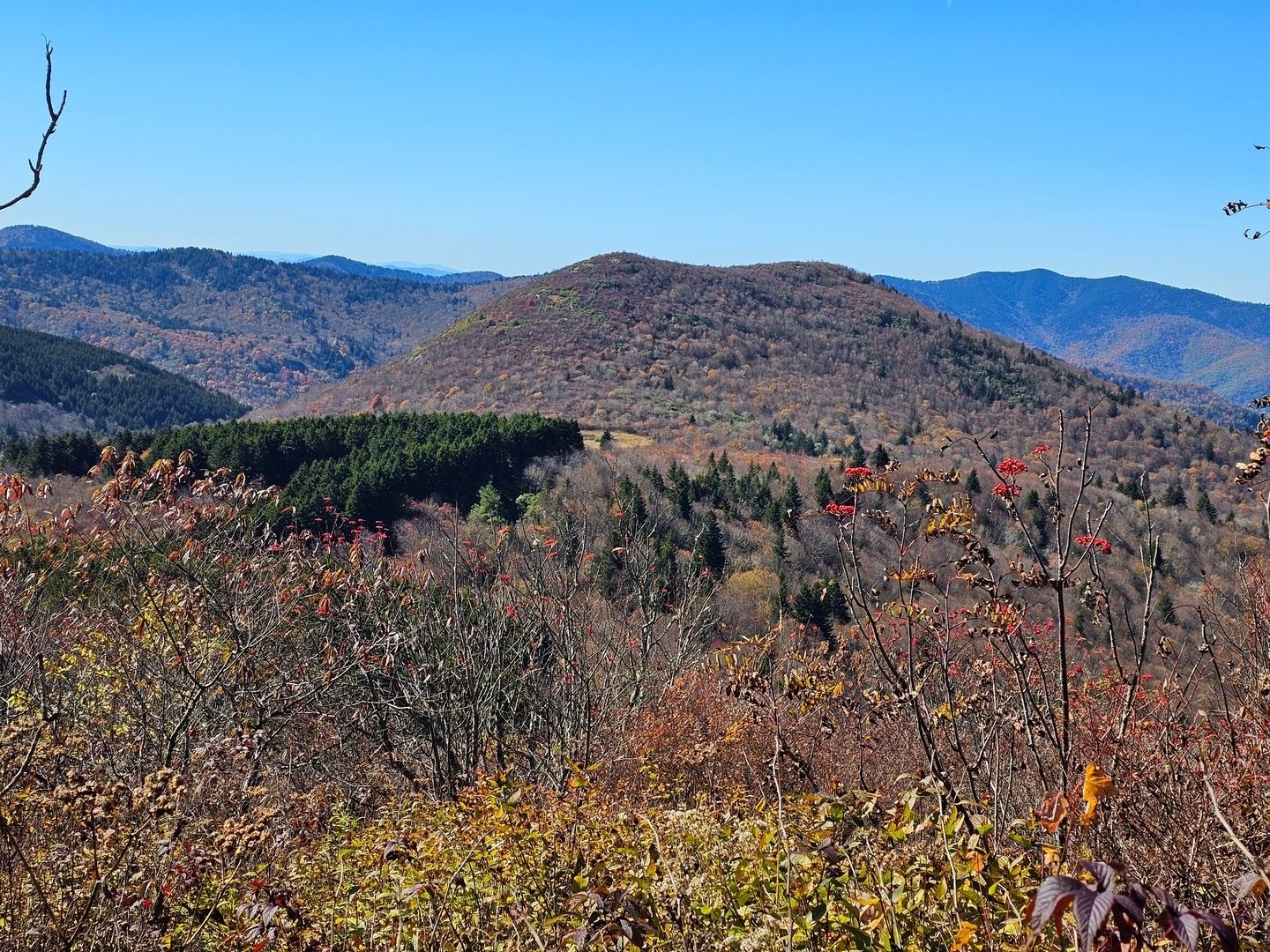Looking back toward Sam Knob from just below Black Balsam Knob.