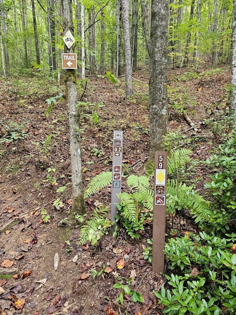 It's a short walk up Forest Service Rd 20 to the trailhead.