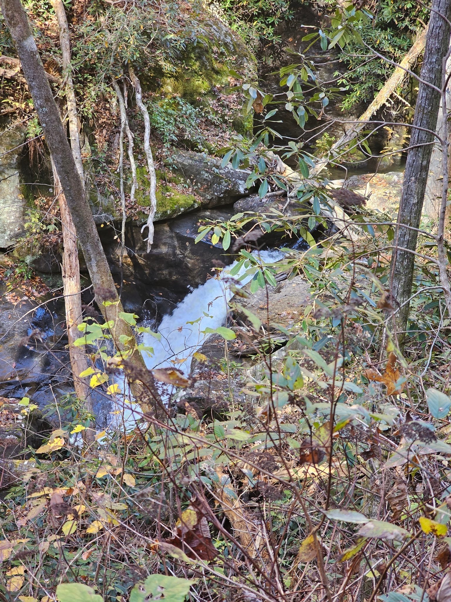 This is listed on the Georgia Waterfall Index as Coleman River Cascade (15').