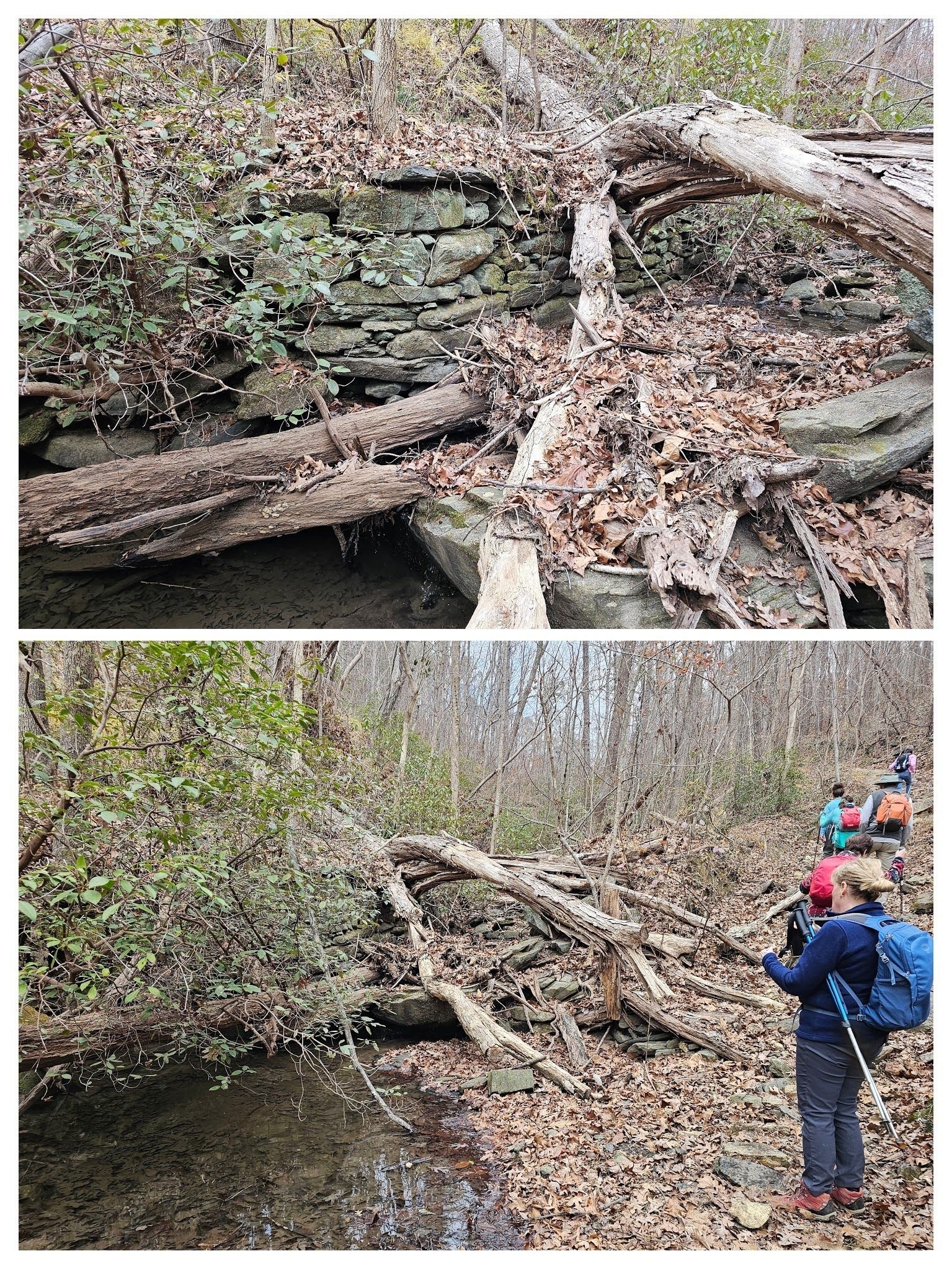 We passed by this old rock abutment from a former bridge over Frady Branch as we head out of the bottoms.