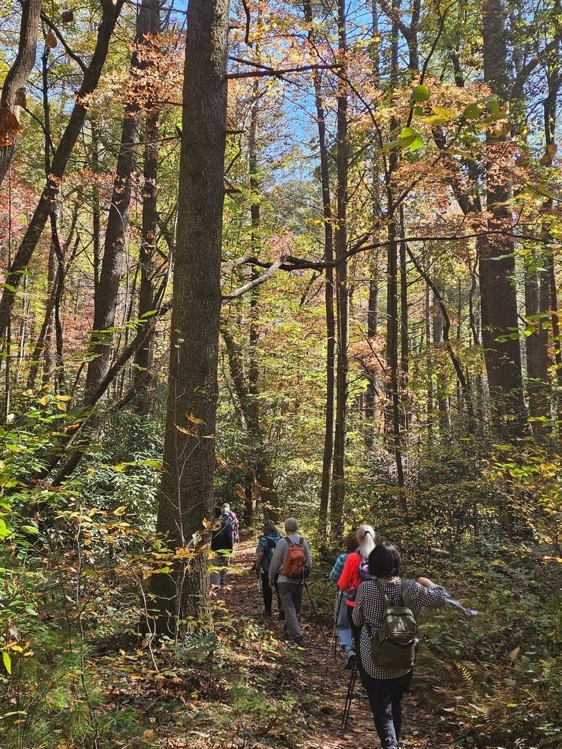 Headed on to Becky Branch Falls via the Bartram Trail.  Nice color above us in this section.