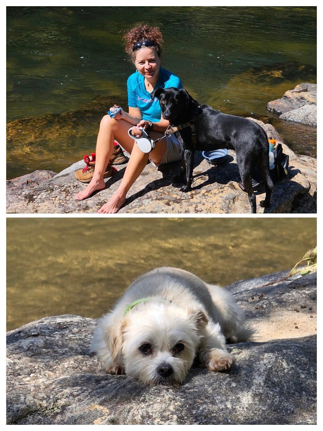 The pups take the "most photogenic" titles today.