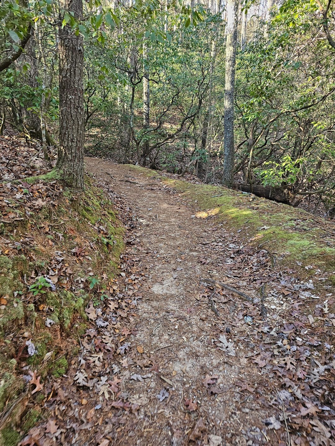 Very good trails