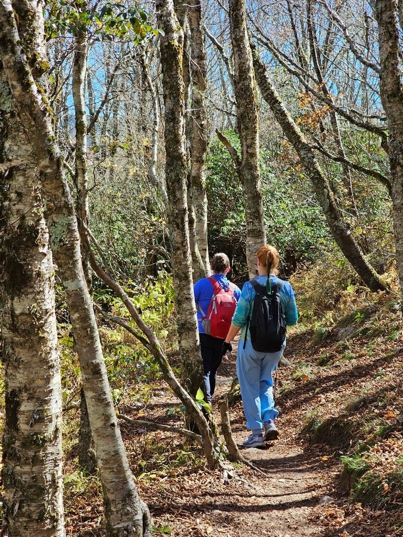 Bobbie and Jane heading through a Yellow Birch grove on the trail to Black Balsam.