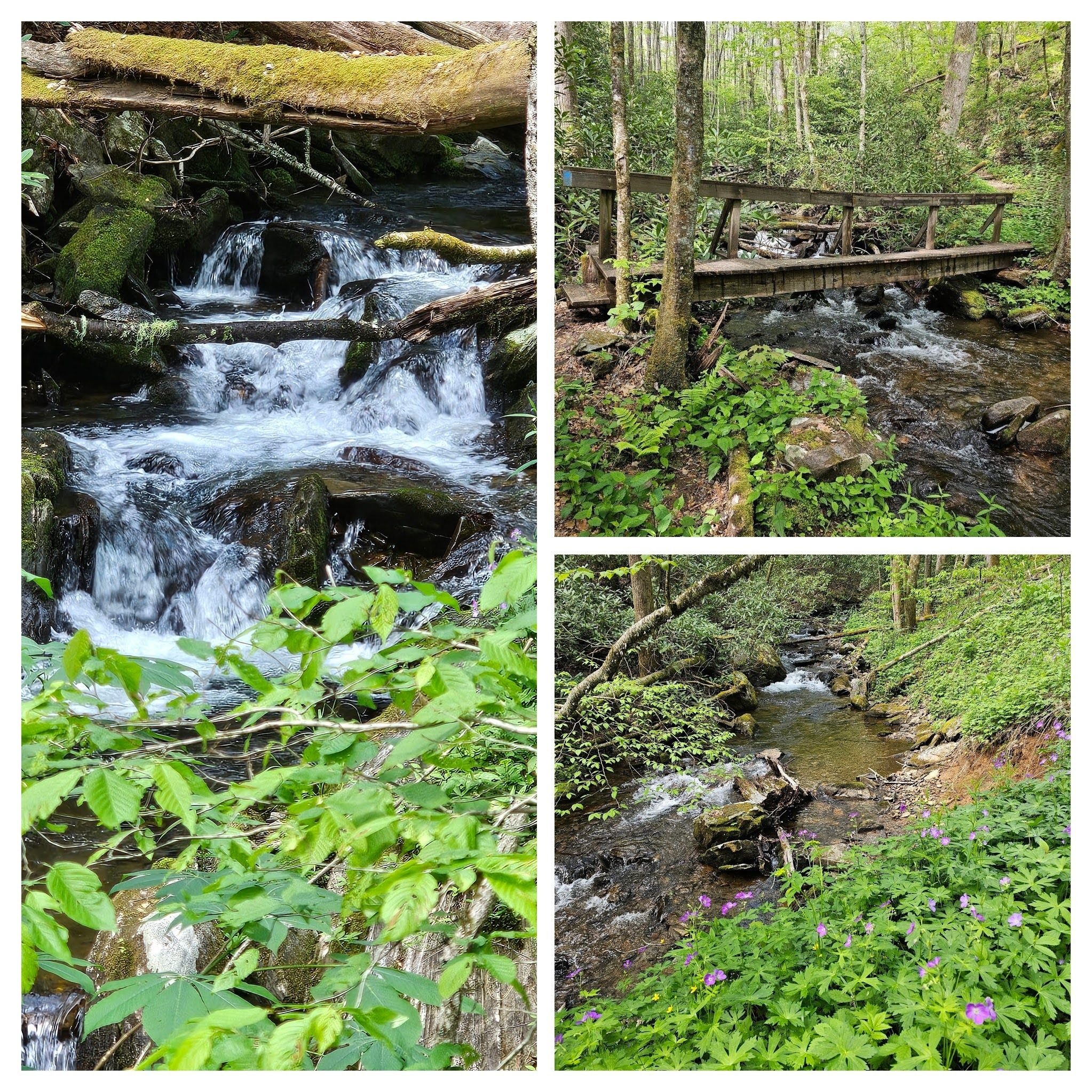 Really nice sights and sounds along Park Creek.