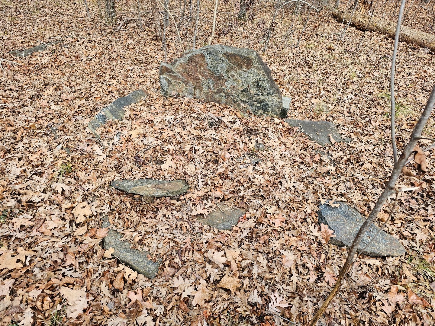 Heather takes us by what may be an unmarked grave near a possible old home foundation as we head back along Pear Orchard Rd.