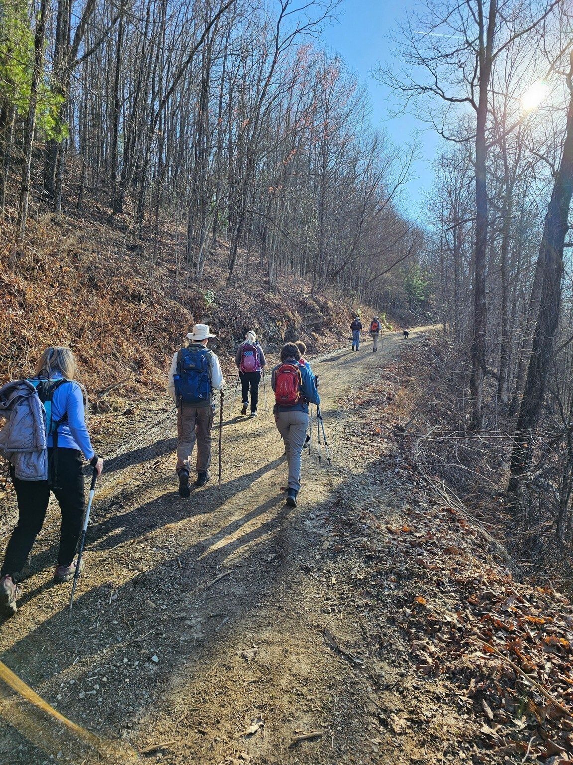 Just a steady climb up Glassy Mtn Rd to the fire tower.