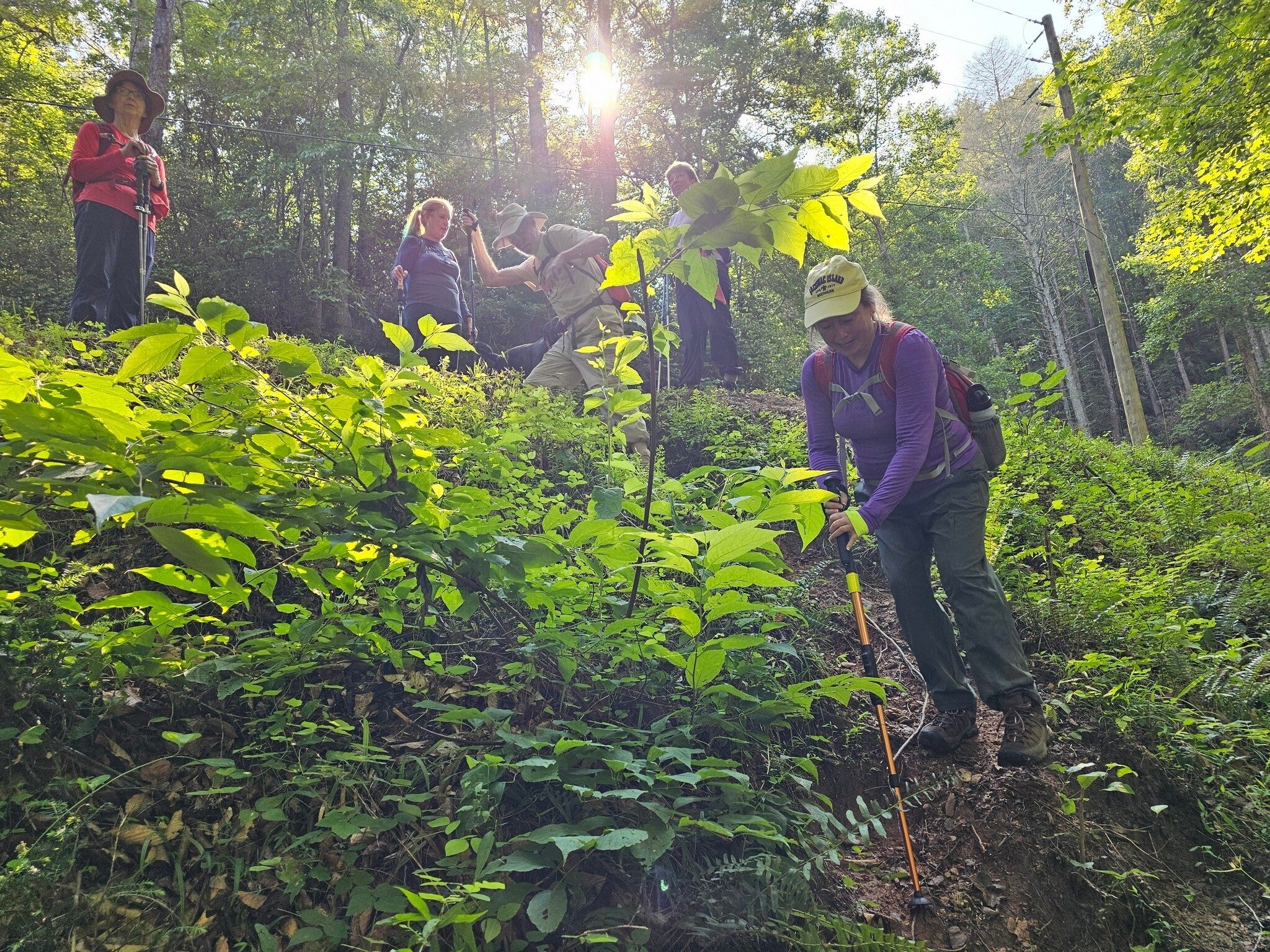 It was trickly getting down this embankment to go onto Filmy Fern Falls.