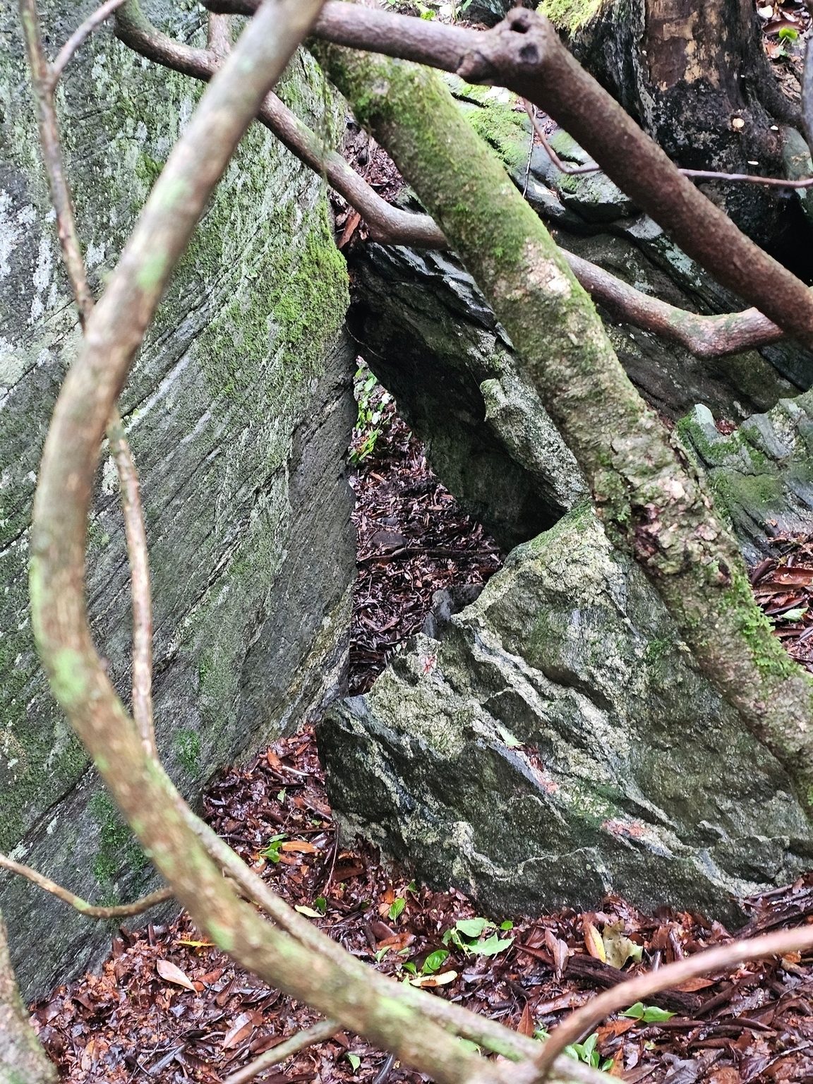 Just off the trail. this short path and rock gateway to climb behind a massive boulder caught our eye, but we didn't take the time to follow that path.