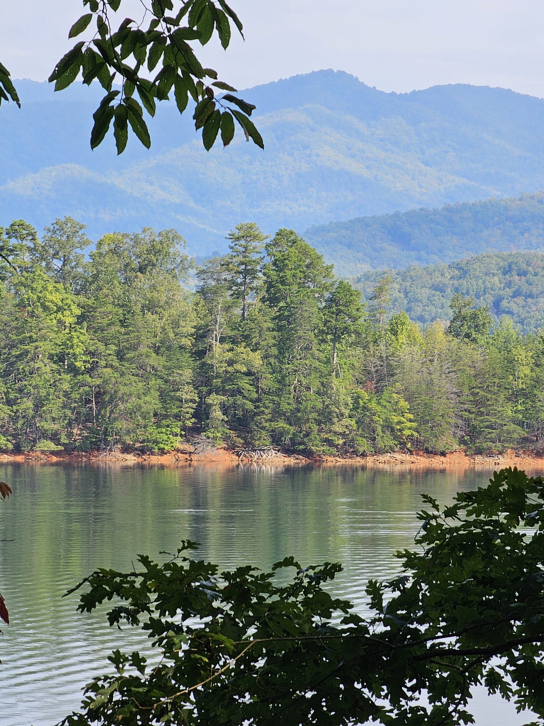 More peaks through the trees at Lake Chatuge.