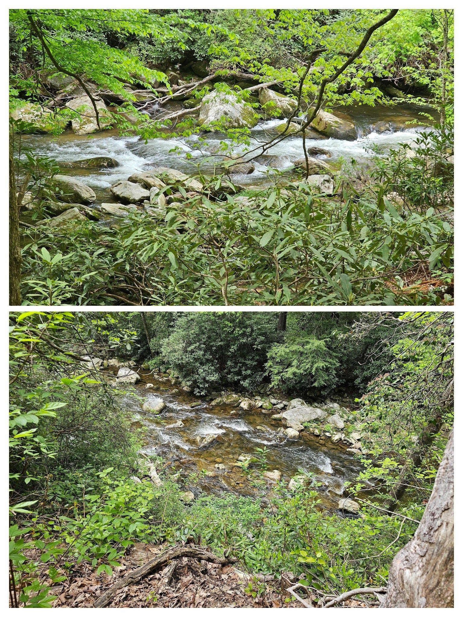 Almost continual views and sounds of the river as we hike southward.