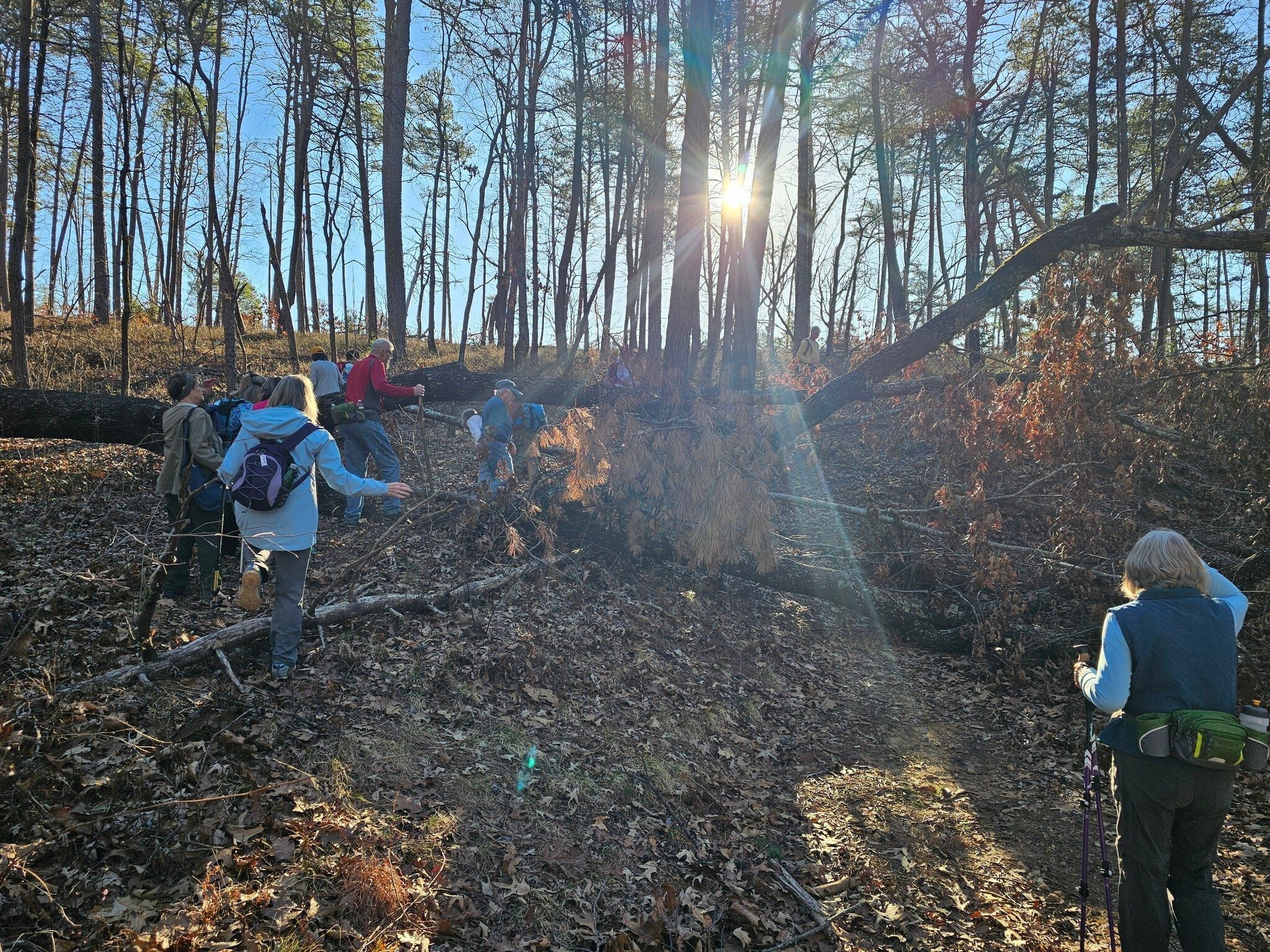 The only large blowdown was on a side trail we were exploring, hoping for an overlook of Tugalo Lake.