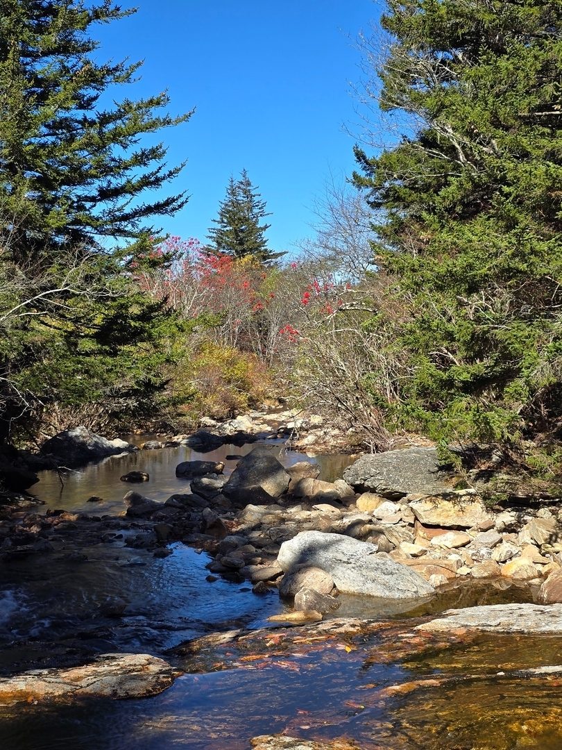 Flat Laurel Creek.  Photo by Jane Voss.