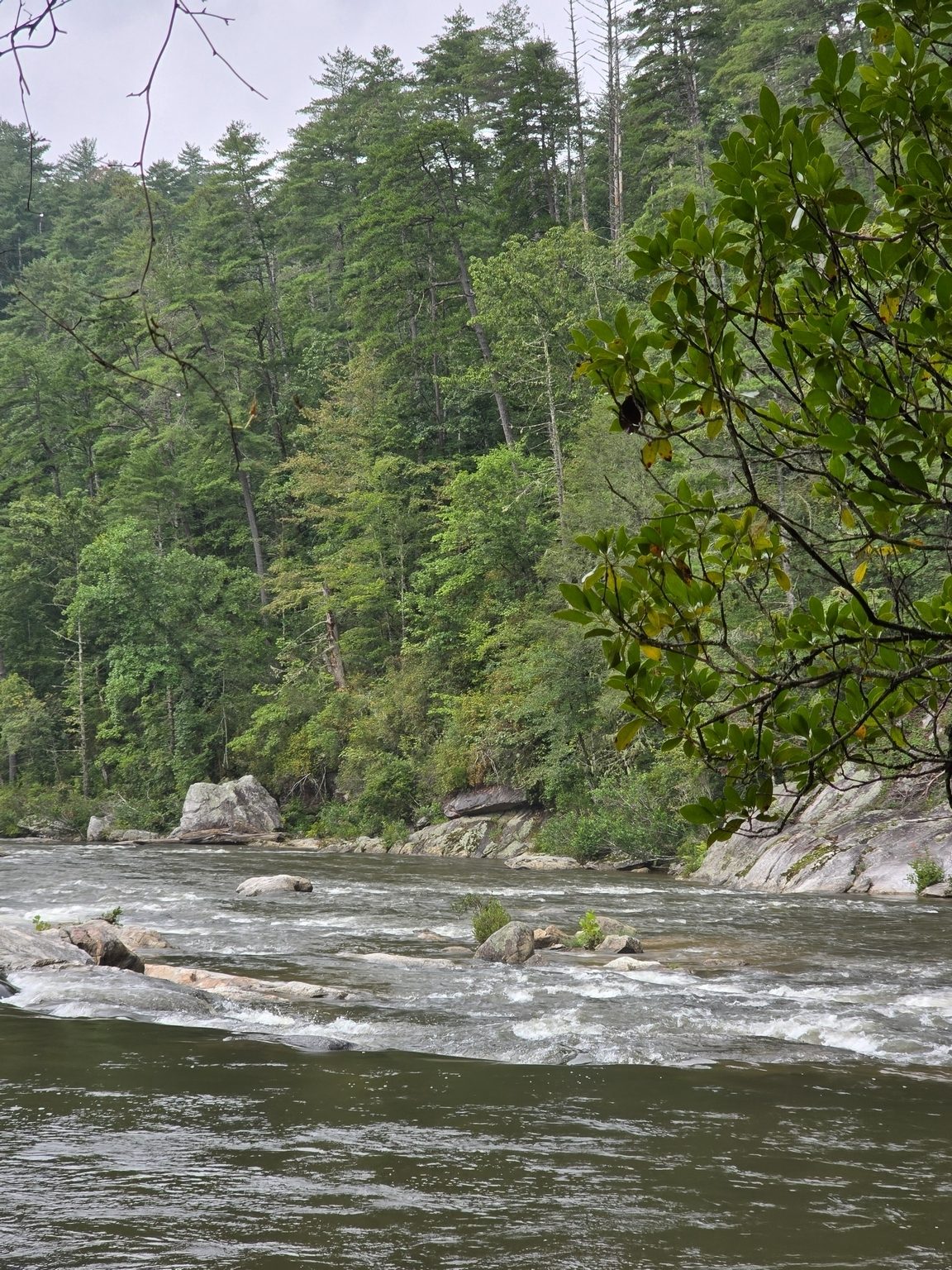 Some of the rapids below Dicks Creek Falls on the Chattooga River.  Photo by Jane Voss.