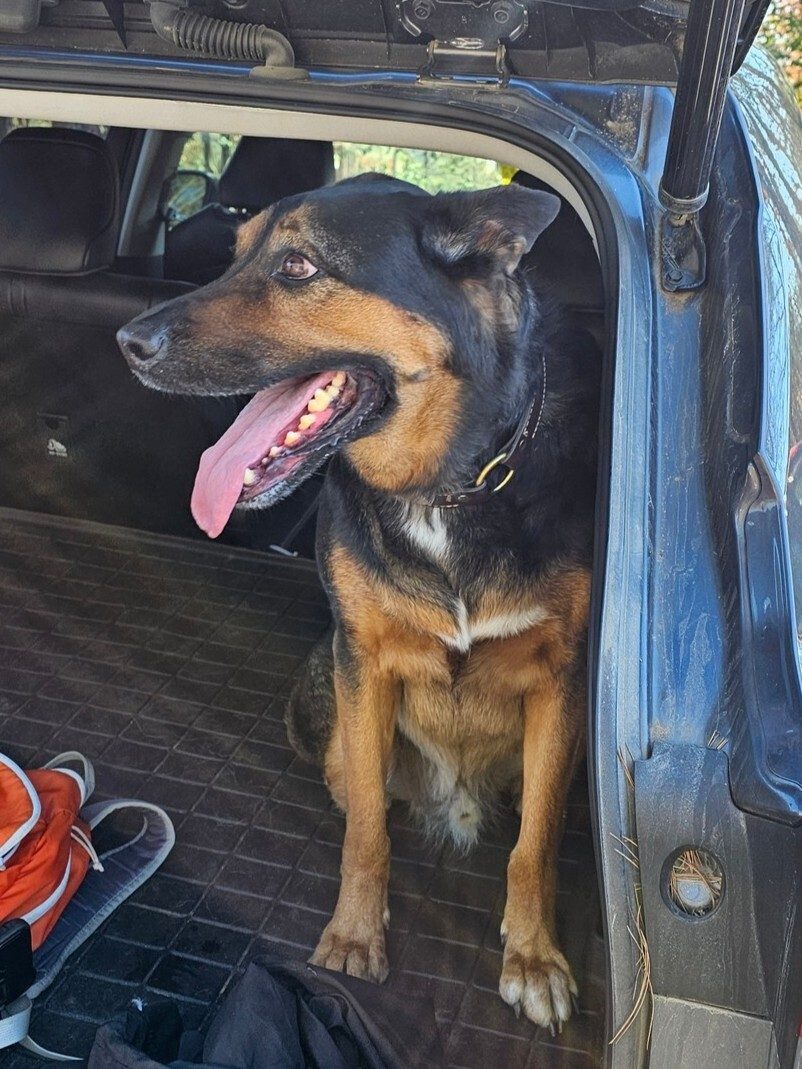 Jake taking it easy after the hike.