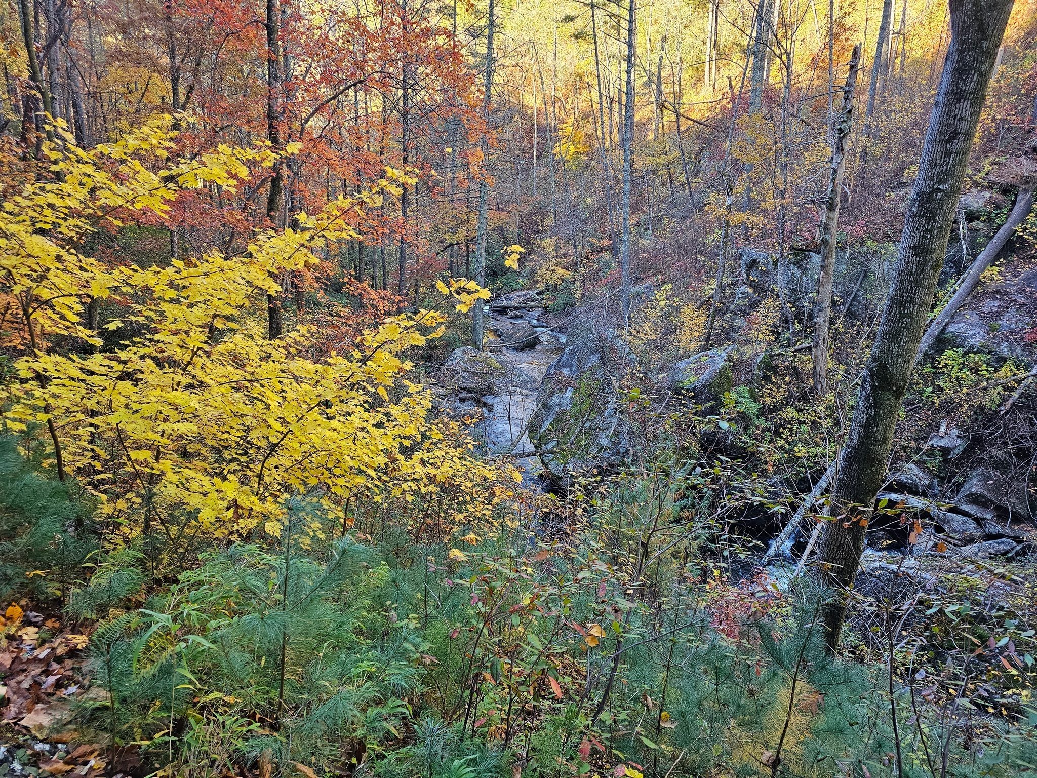 Now that's some fall color.