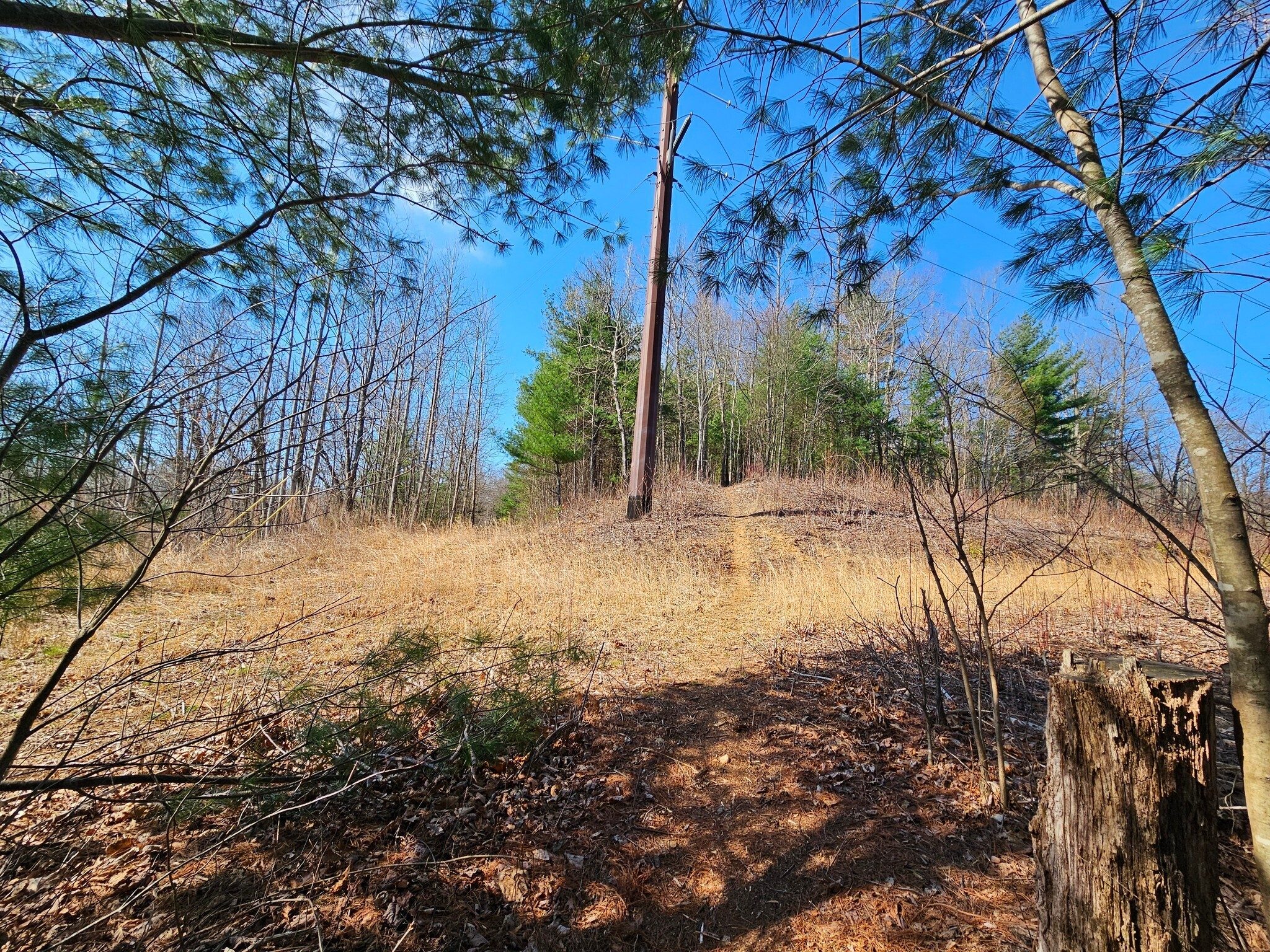 Just marking the location of a powerline right-of-way with transition to old logging road for a short distance.