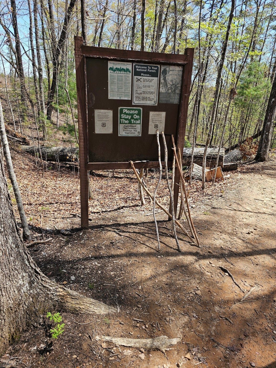 Anyone need a hiking stick?