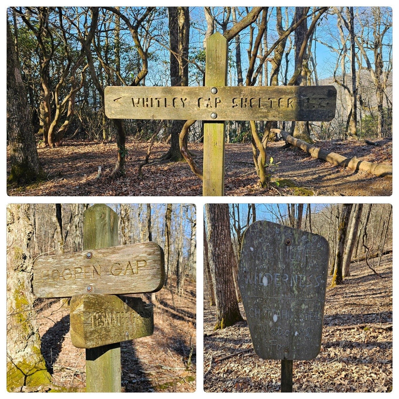 The Whitley Gap Shelter Trail from Hogpen Gap in the Raven Woods Wilderness Area is our first hike today.