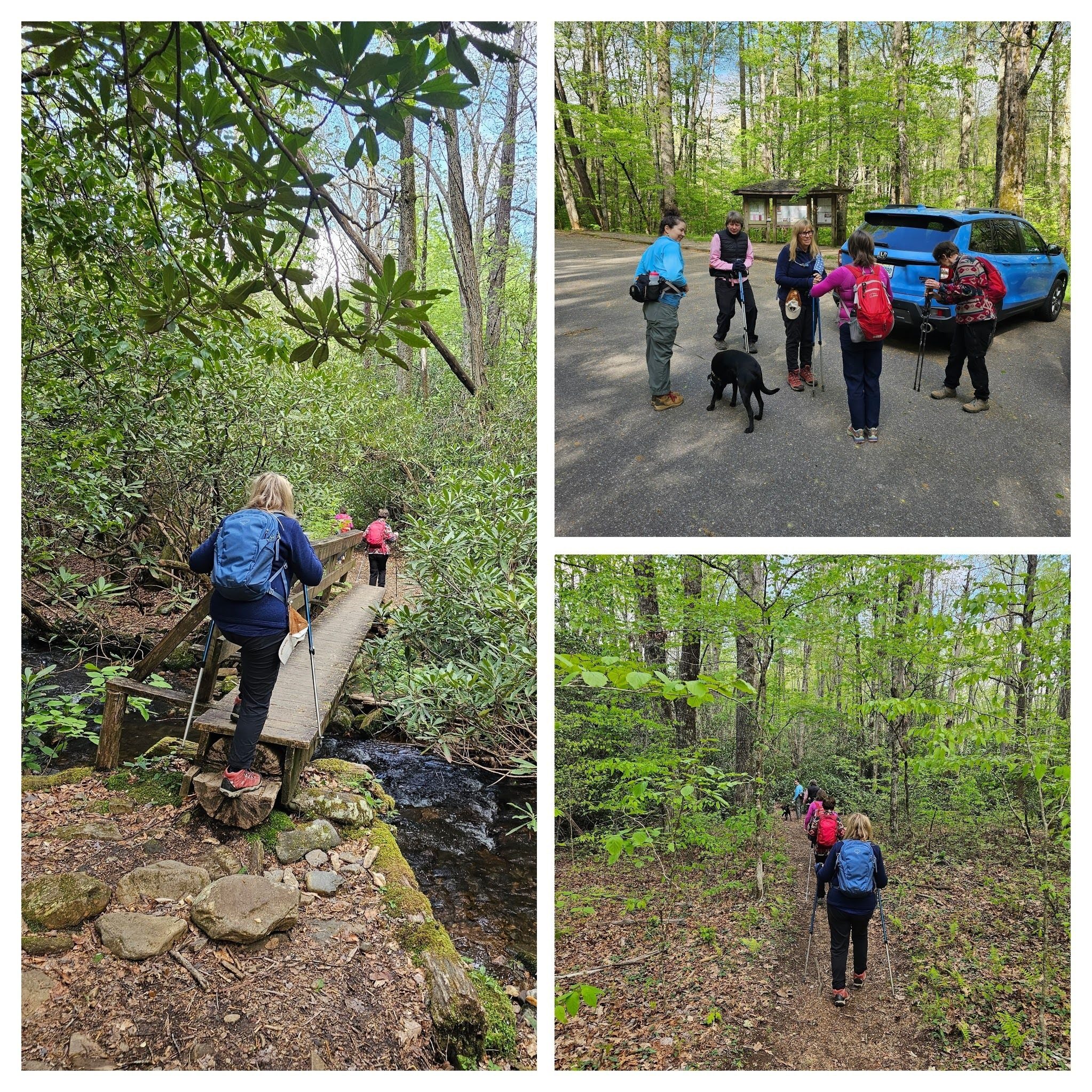 The trailhead, trail conditions and first water crossing.