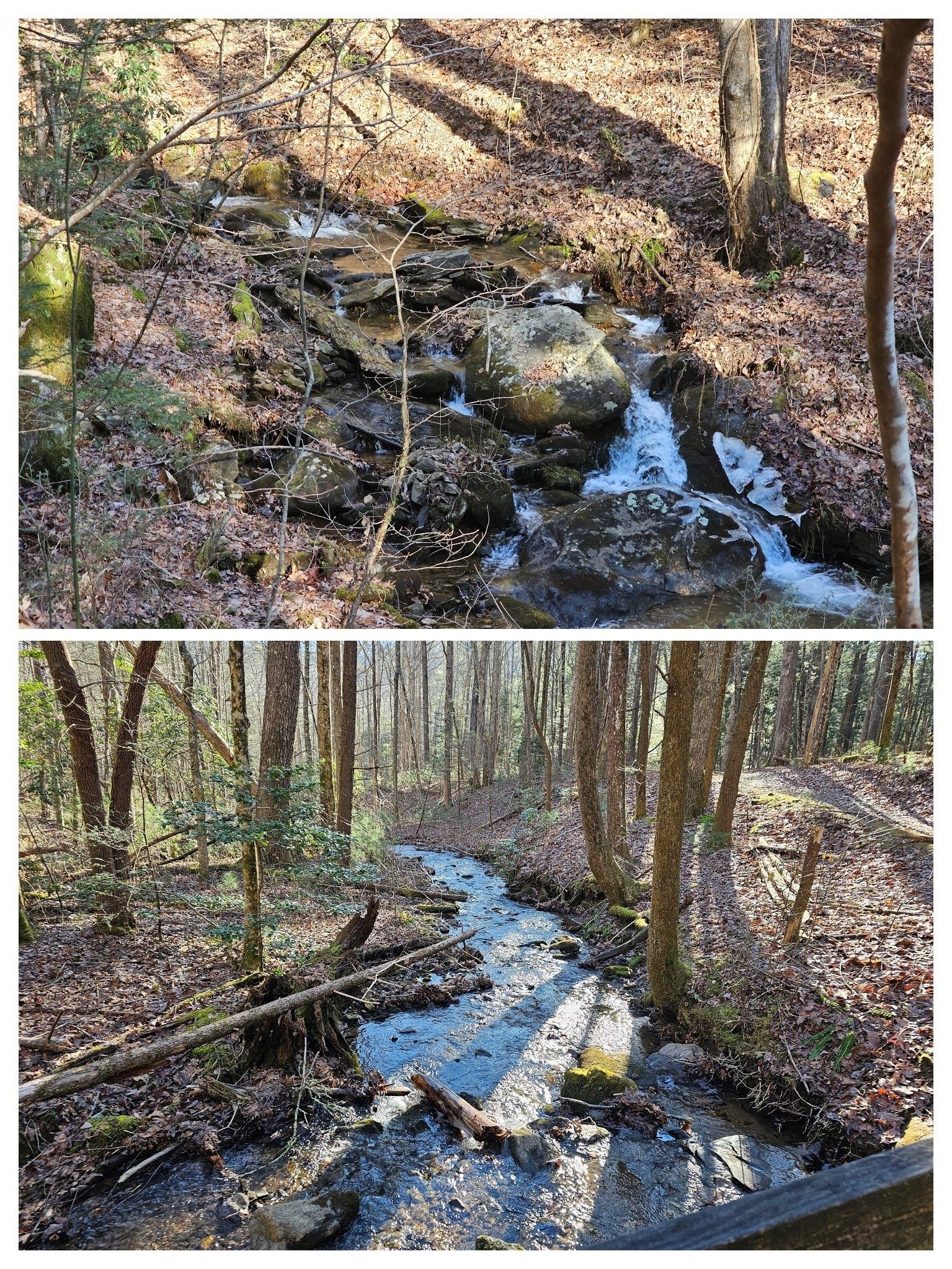 Lots of pretty flowing water and sounds along Burnett Branch on the first part of the hike.