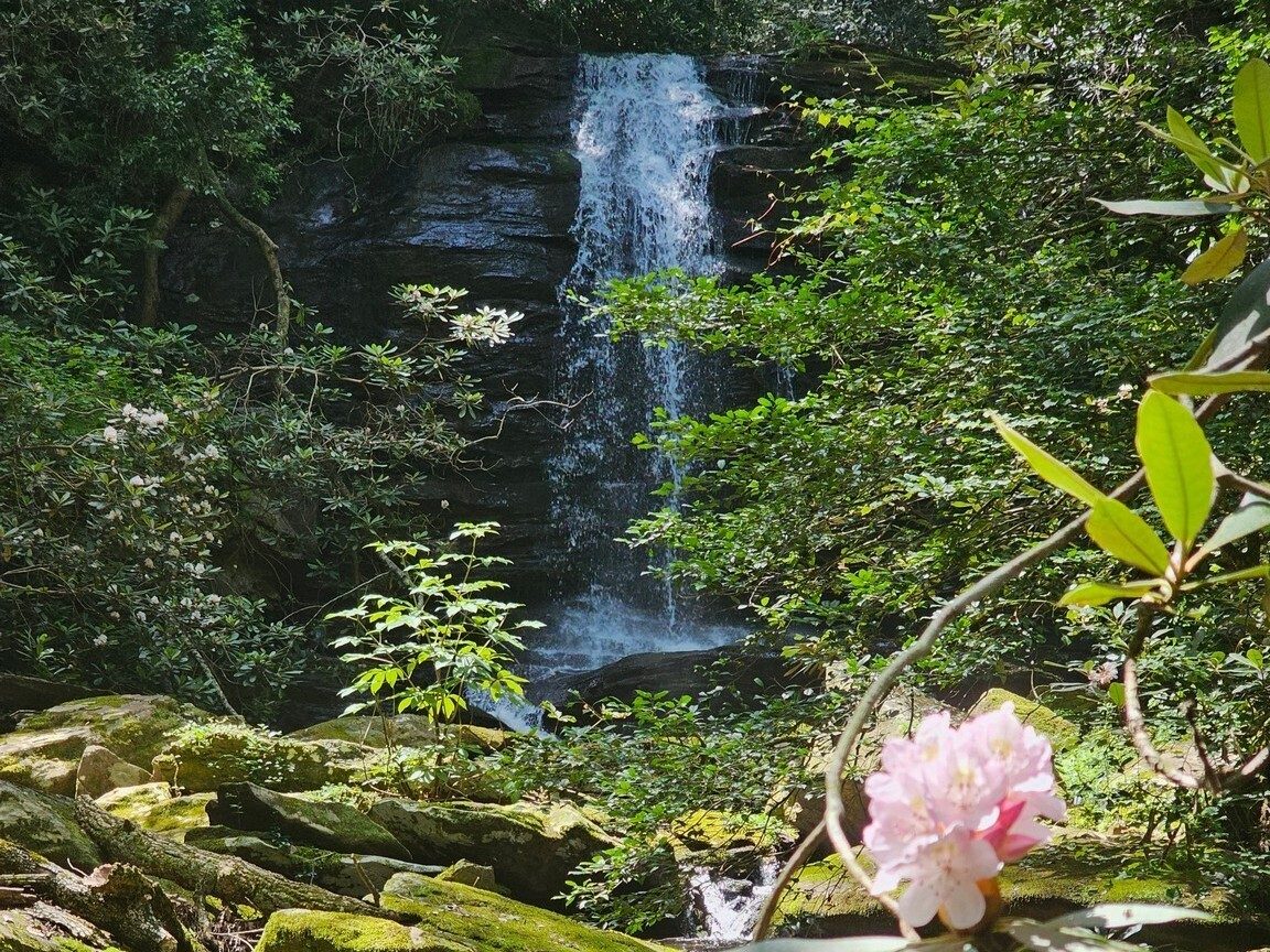 First sight of Homestead Falls.