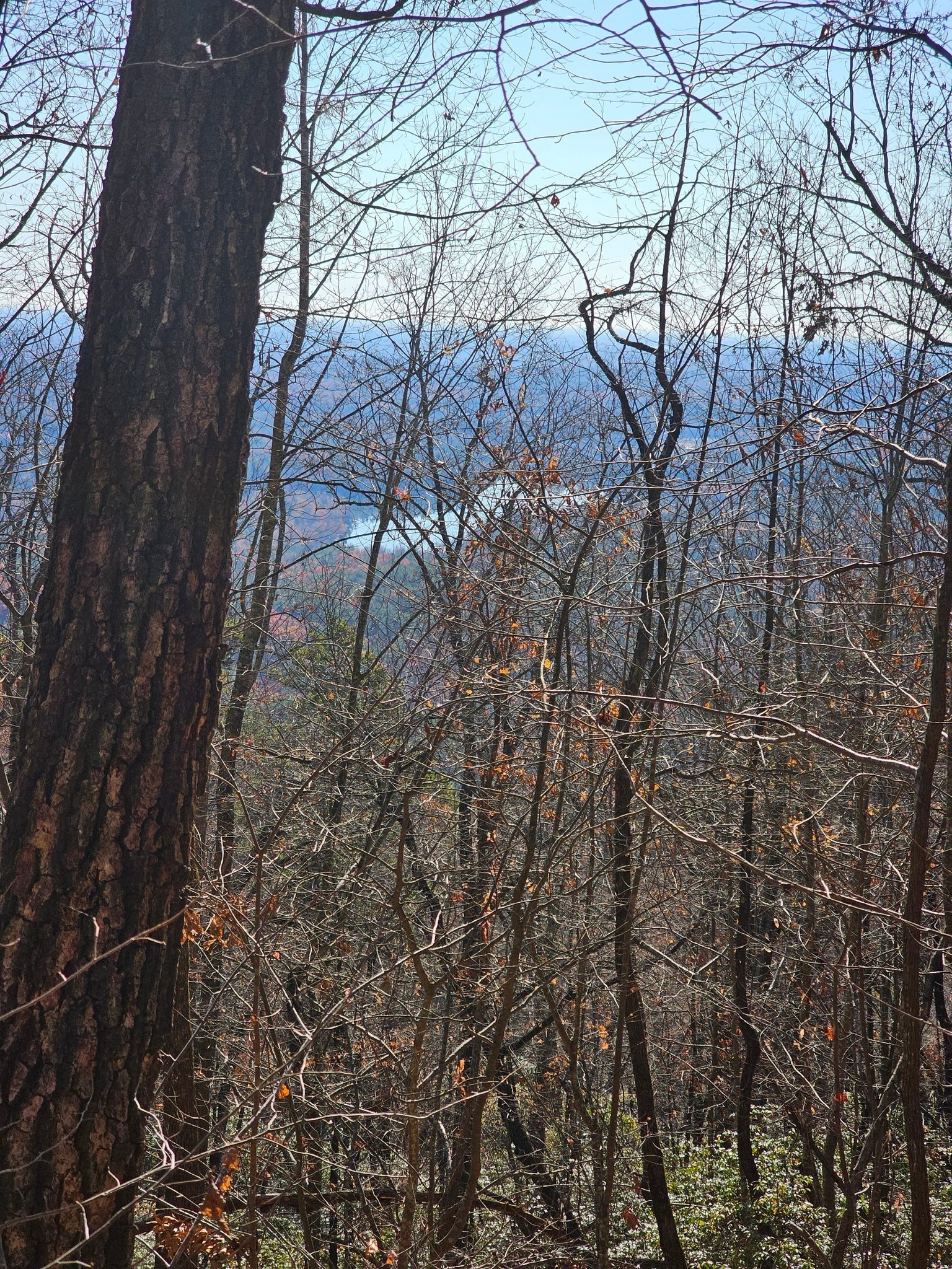 A peek through the trees of Lake Cheohee in the valley to the east.