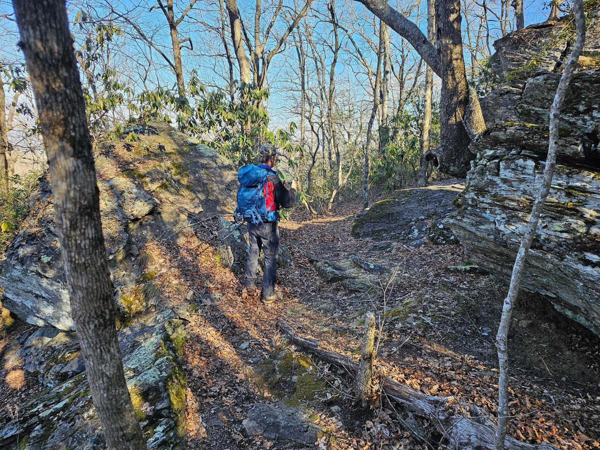 Gregg Nuessly checking out the AT campsite as we proceed down Wildcat Mtn.