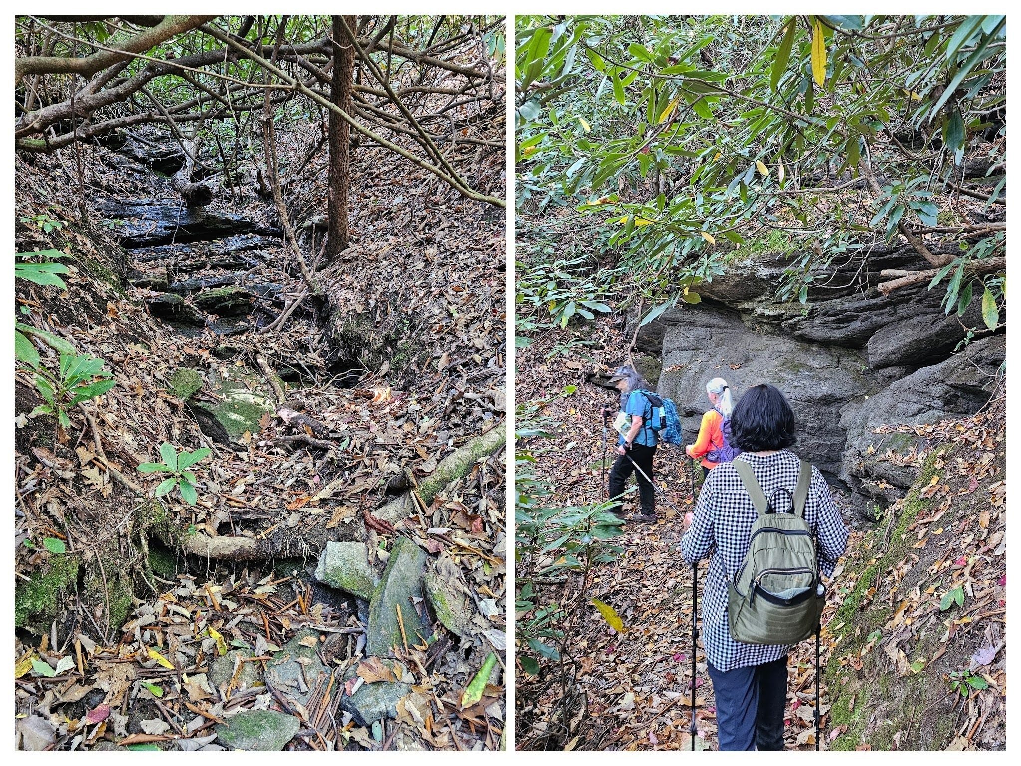We're headed down the Bartram Trail toward Martin Creek Falls.  Even normally wet drainage features are only trickling water beneath their leaves.