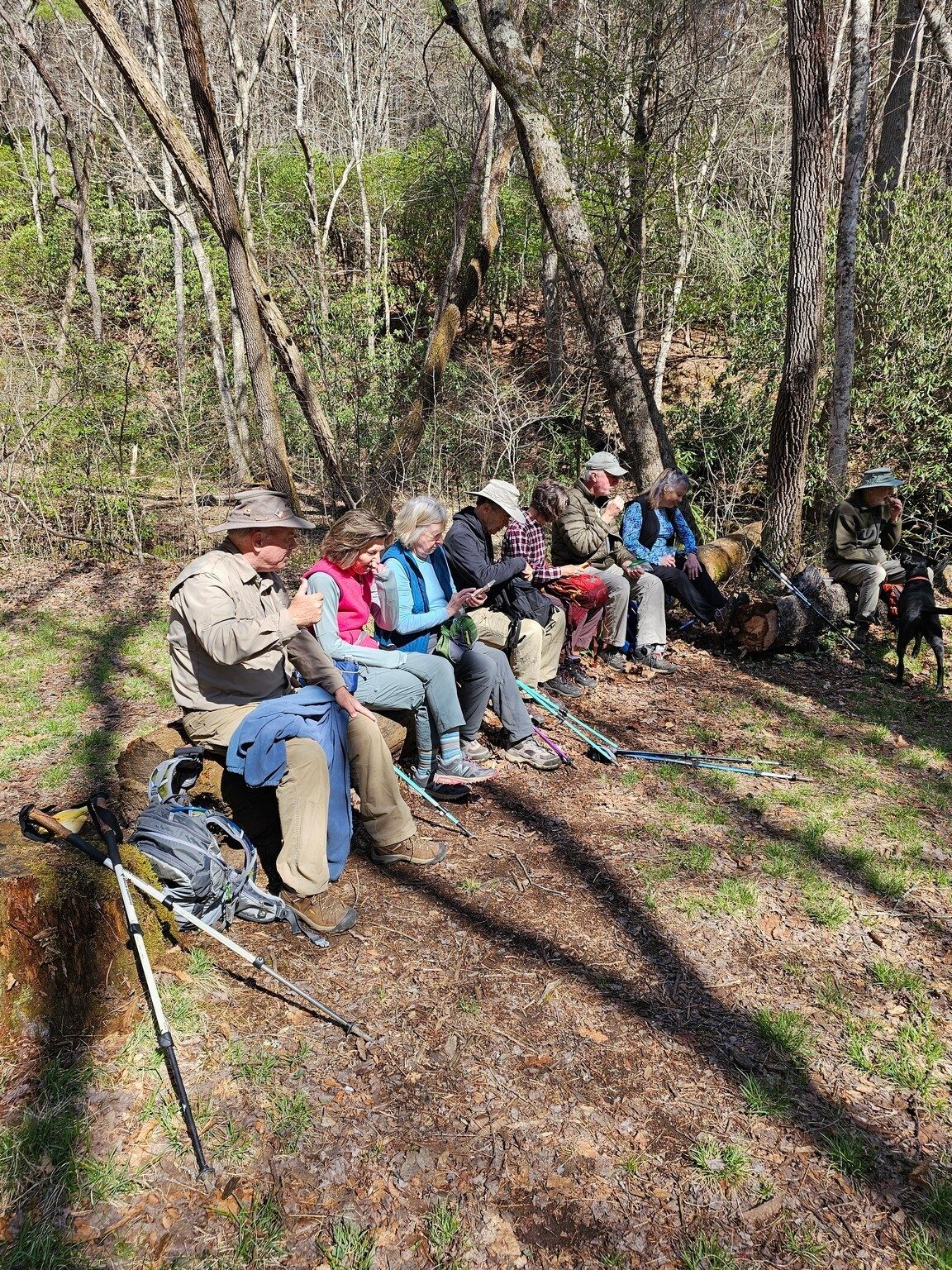 Lunch on West Wolf Creek