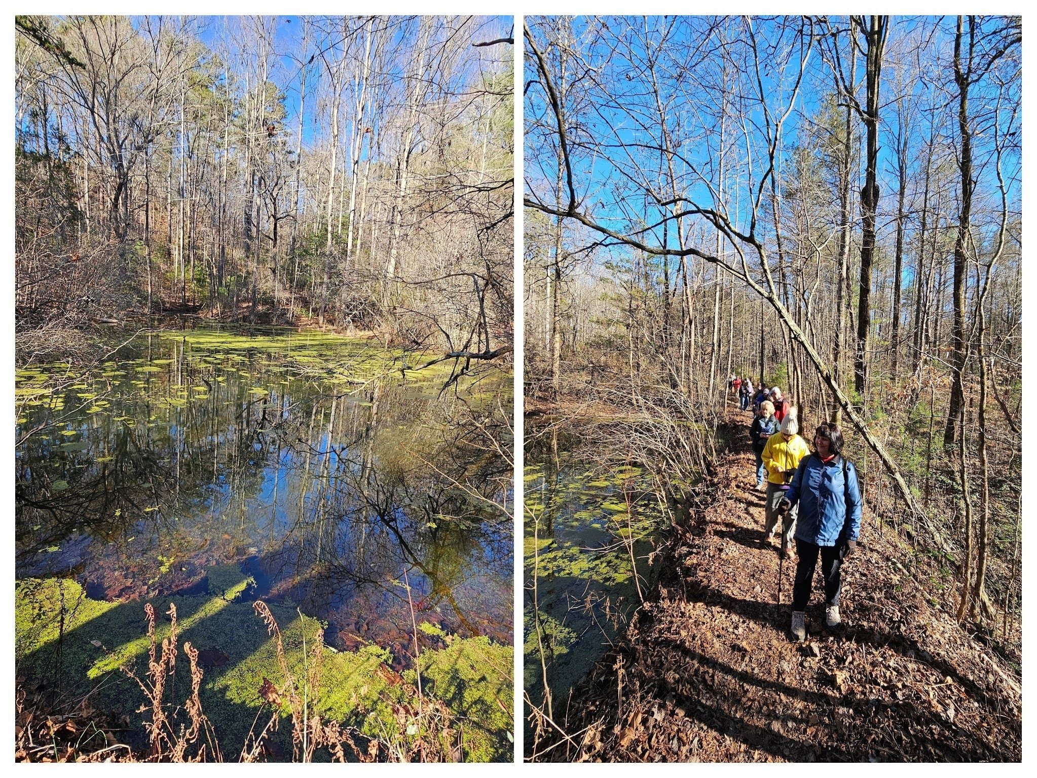 We took the short loop on the Frog Pond Trail on our way back.