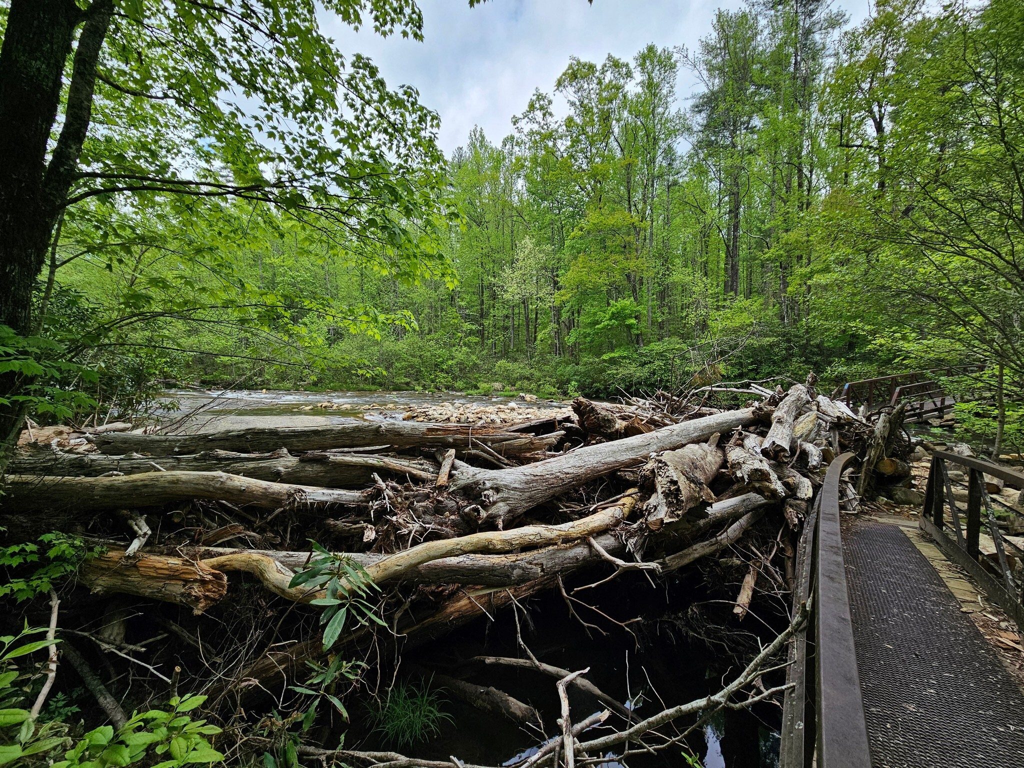 It's amazing these last bridges are still there considering the pileup of large logs against them.