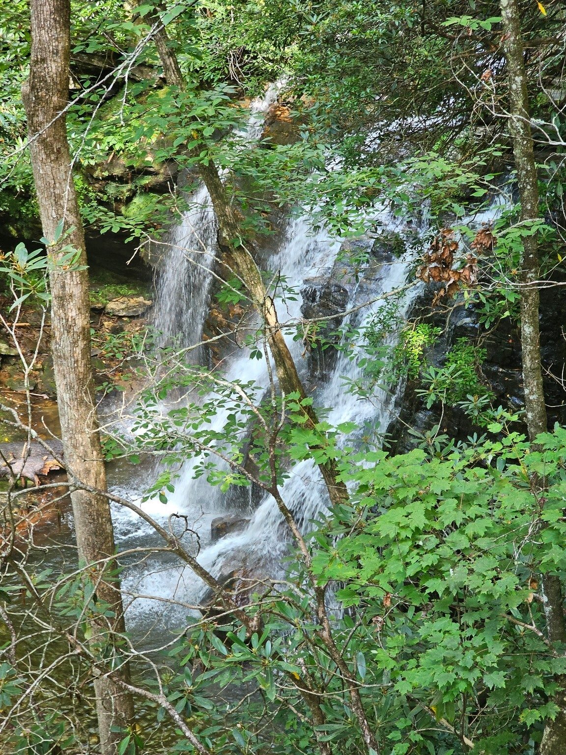 Still further up the trail we saw the beautiful Dodd Creek Falls. The Georgia Waterfall Index states, " It is arguably more picturesque than Raven Cliff Falls itself."