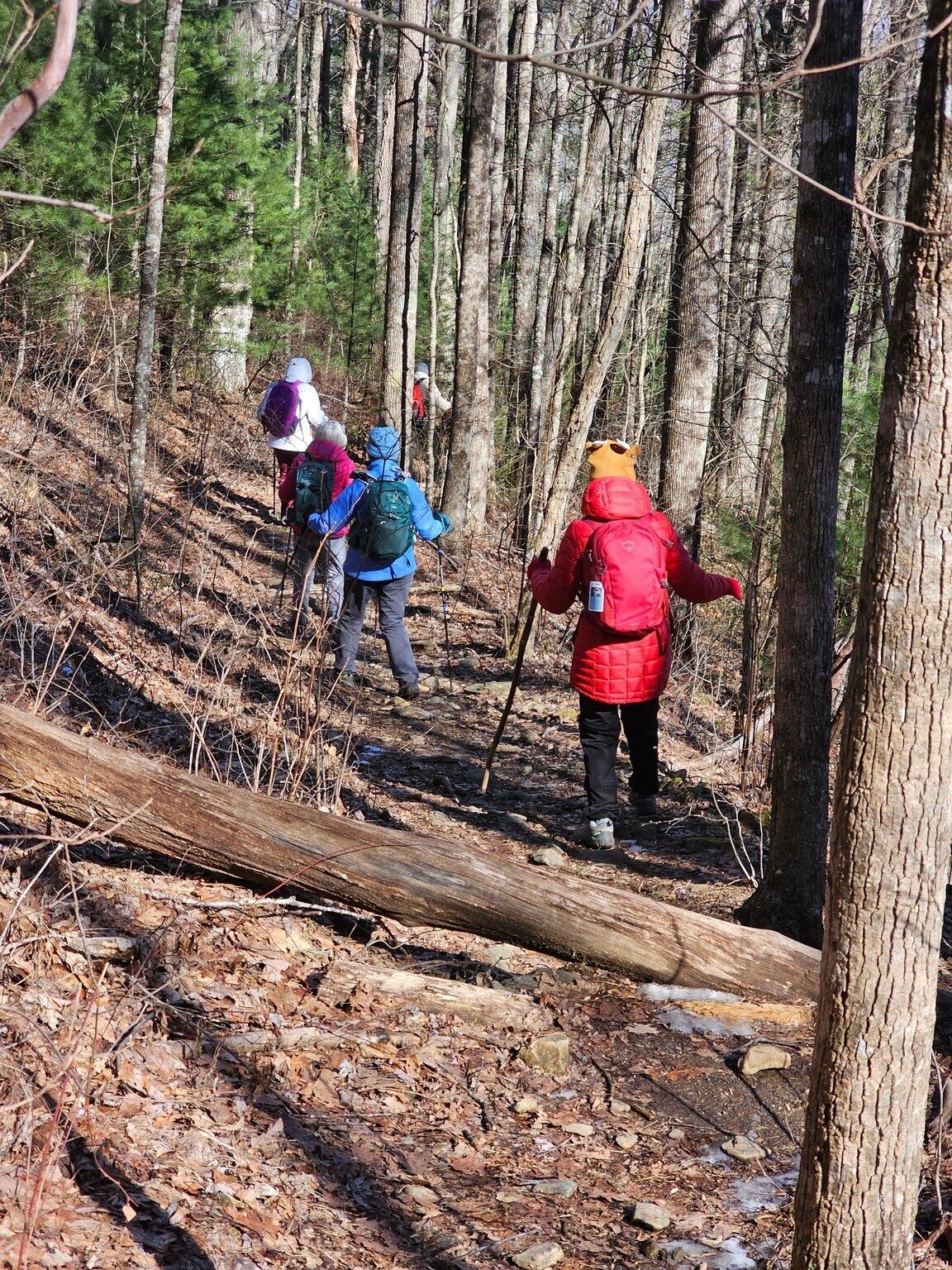 Headed back down being very careful about the ice.
