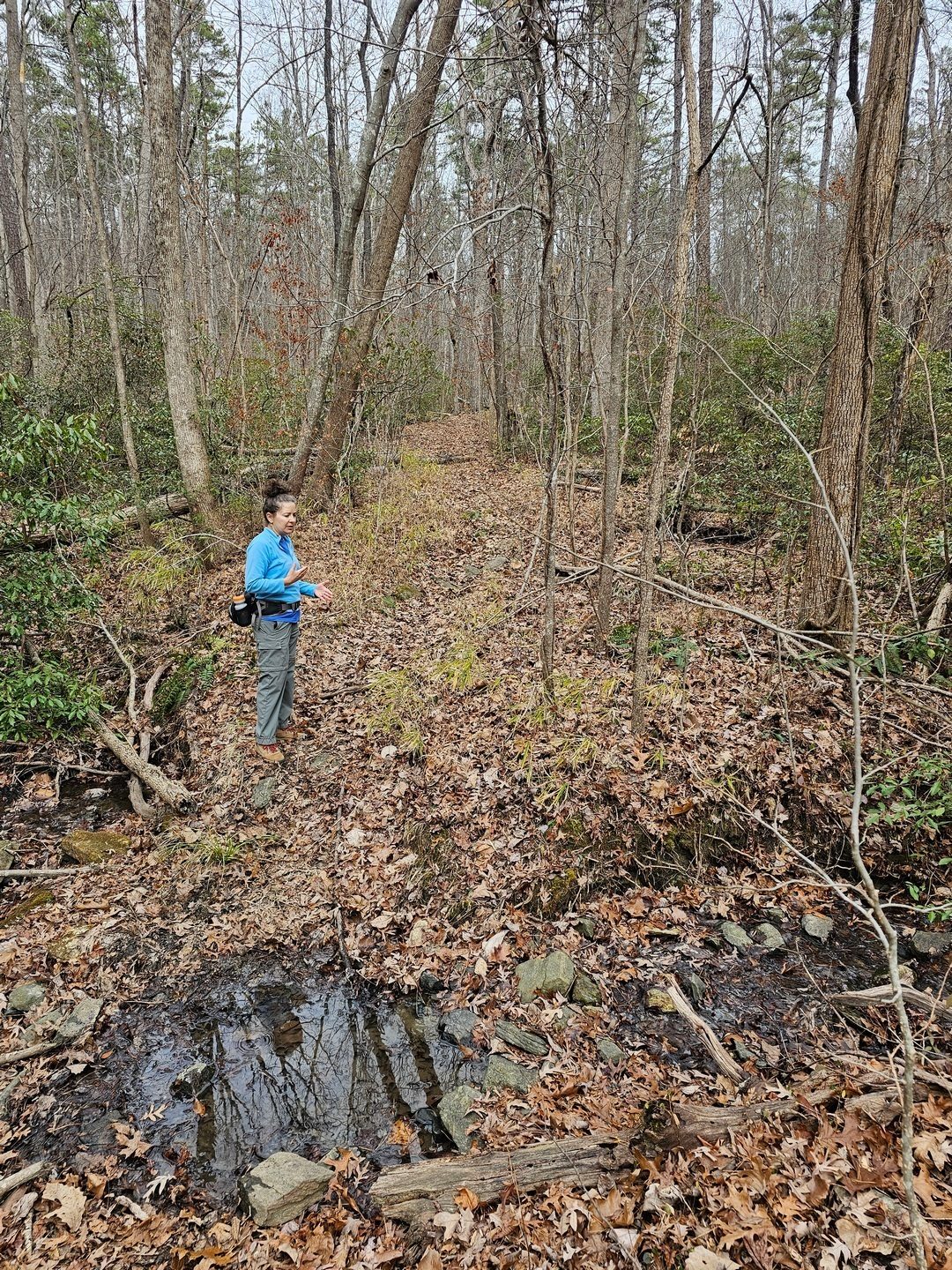 Heather is checking out this unmarked trail that she suspects lead to Currahee Mtn. Rd and an old ranger station.