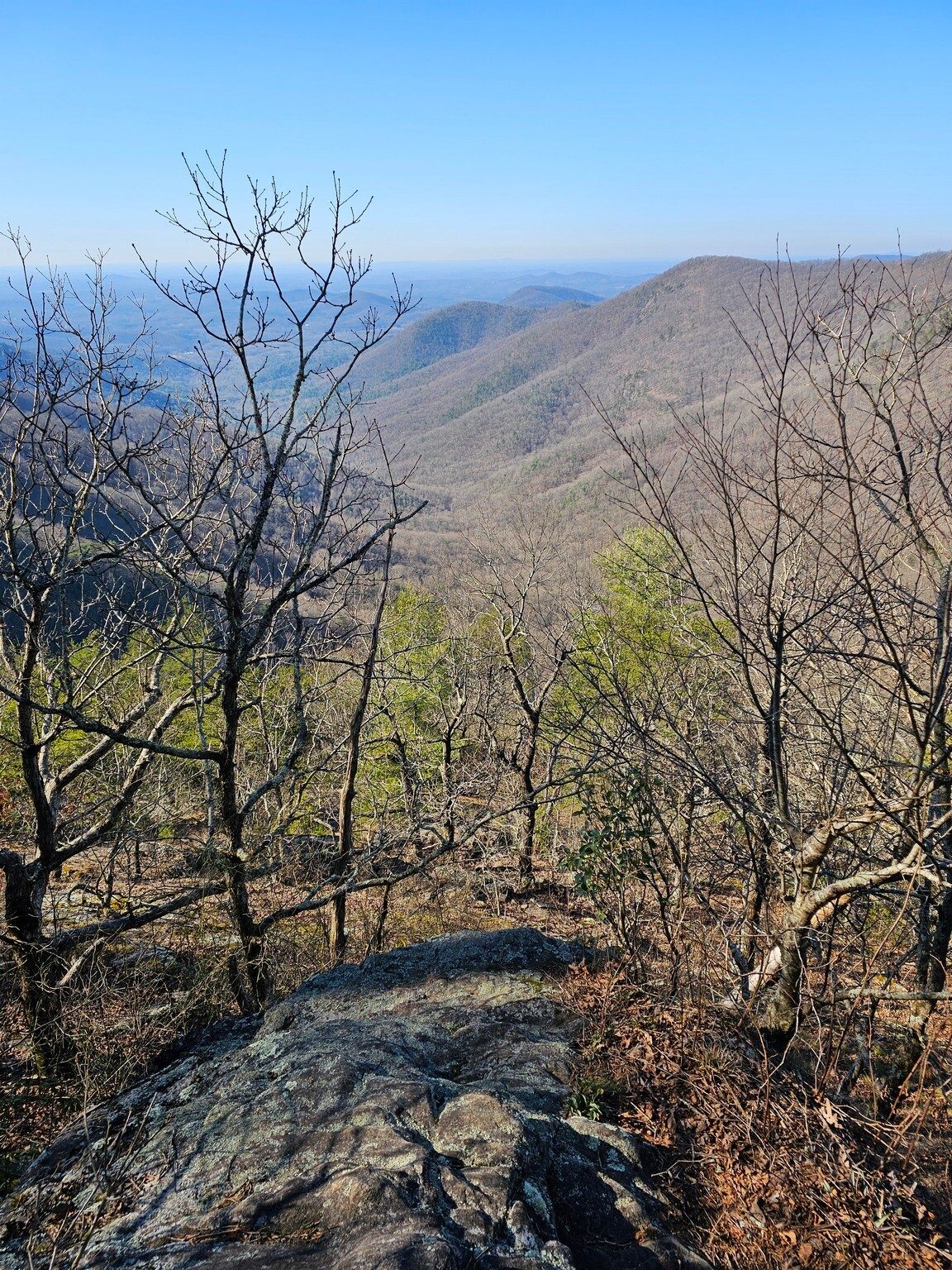 And here's that view of the "draw" we're getting ready to hike down and back.  Doesn't look so bad . . . not so fast.