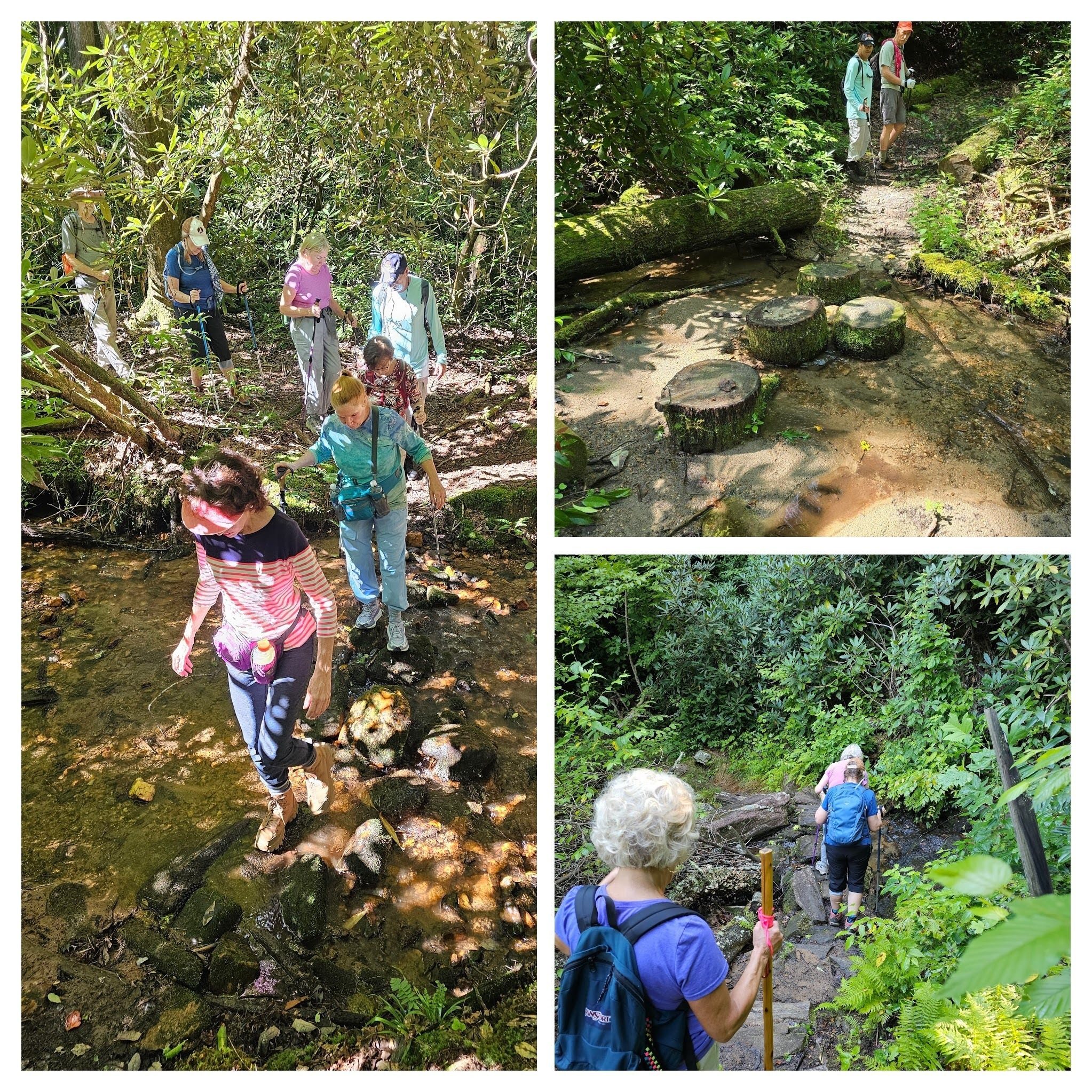 Several easy wet crossings today.  Upper right photo by Jane Voss.