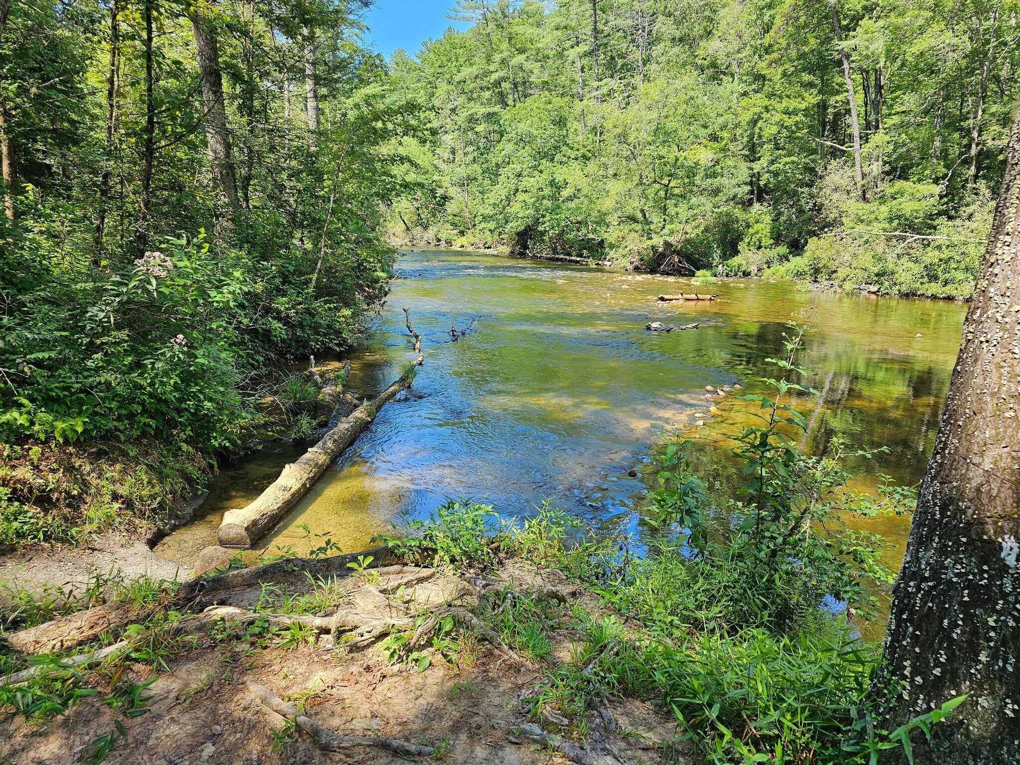 A view up the Chattooga River from Burrell's Ford.