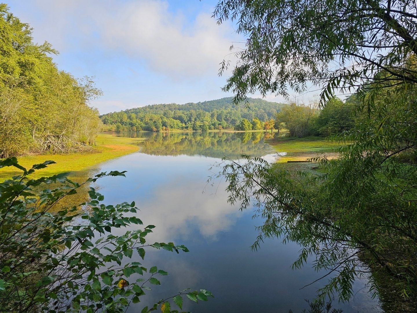 Nice view of the first cove on Lake Chatuge.